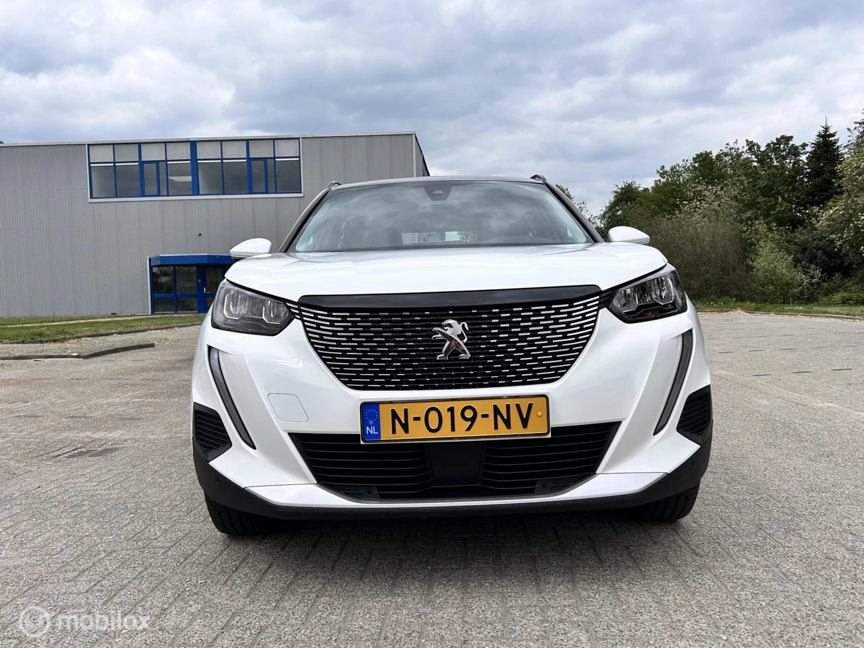 Hoofdafbeelding Peugeot 2008