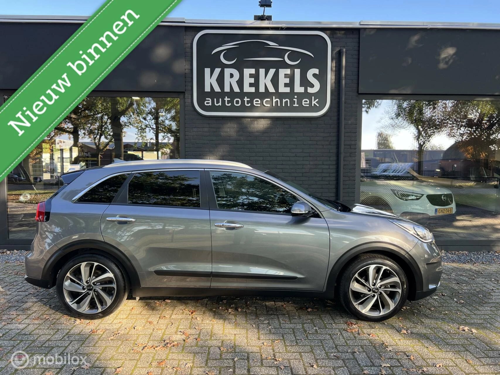 Hoofdafbeelding Kia Niro