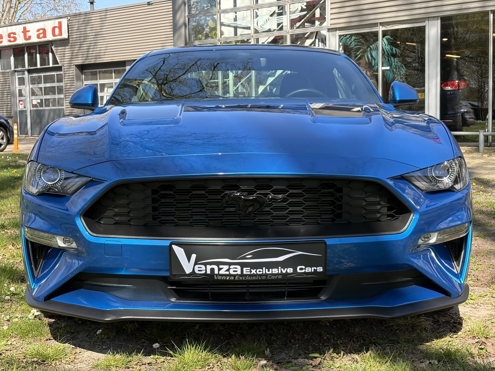 Hoofdafbeelding Ford Mustang
