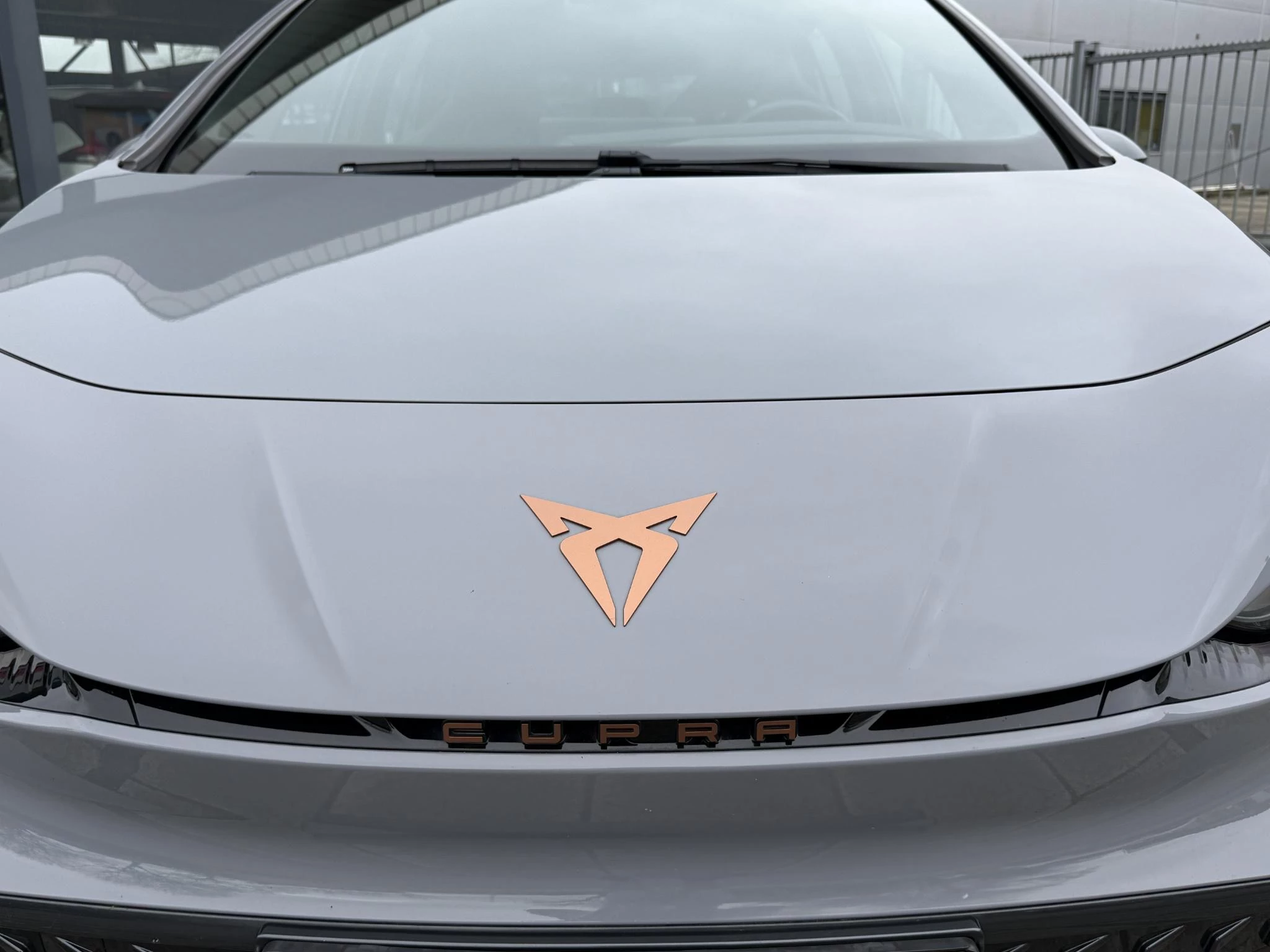 Hoofdafbeelding CUPRA Born