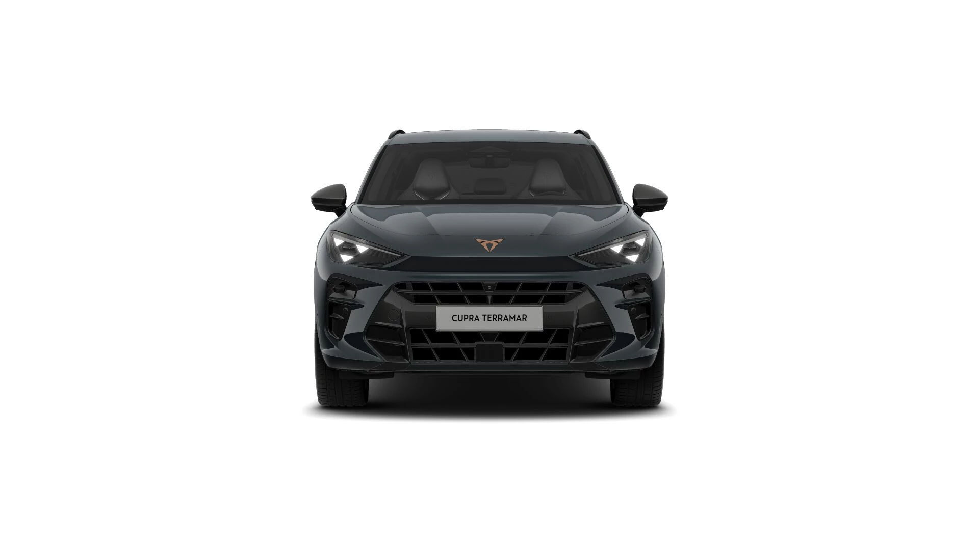 Hoofdafbeelding CUPRA Terramar