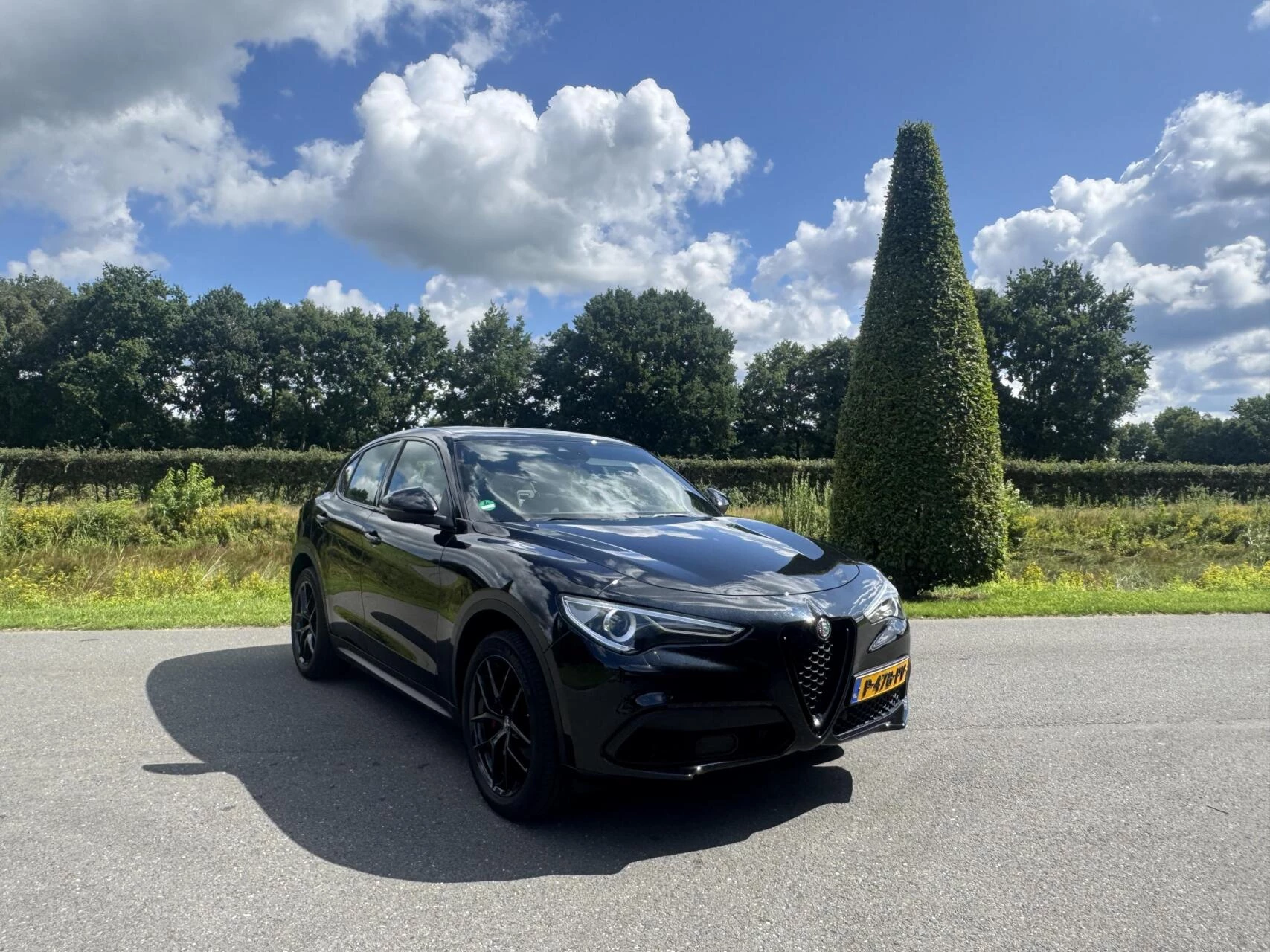 Hoofdafbeelding Alfa Romeo Stelvio