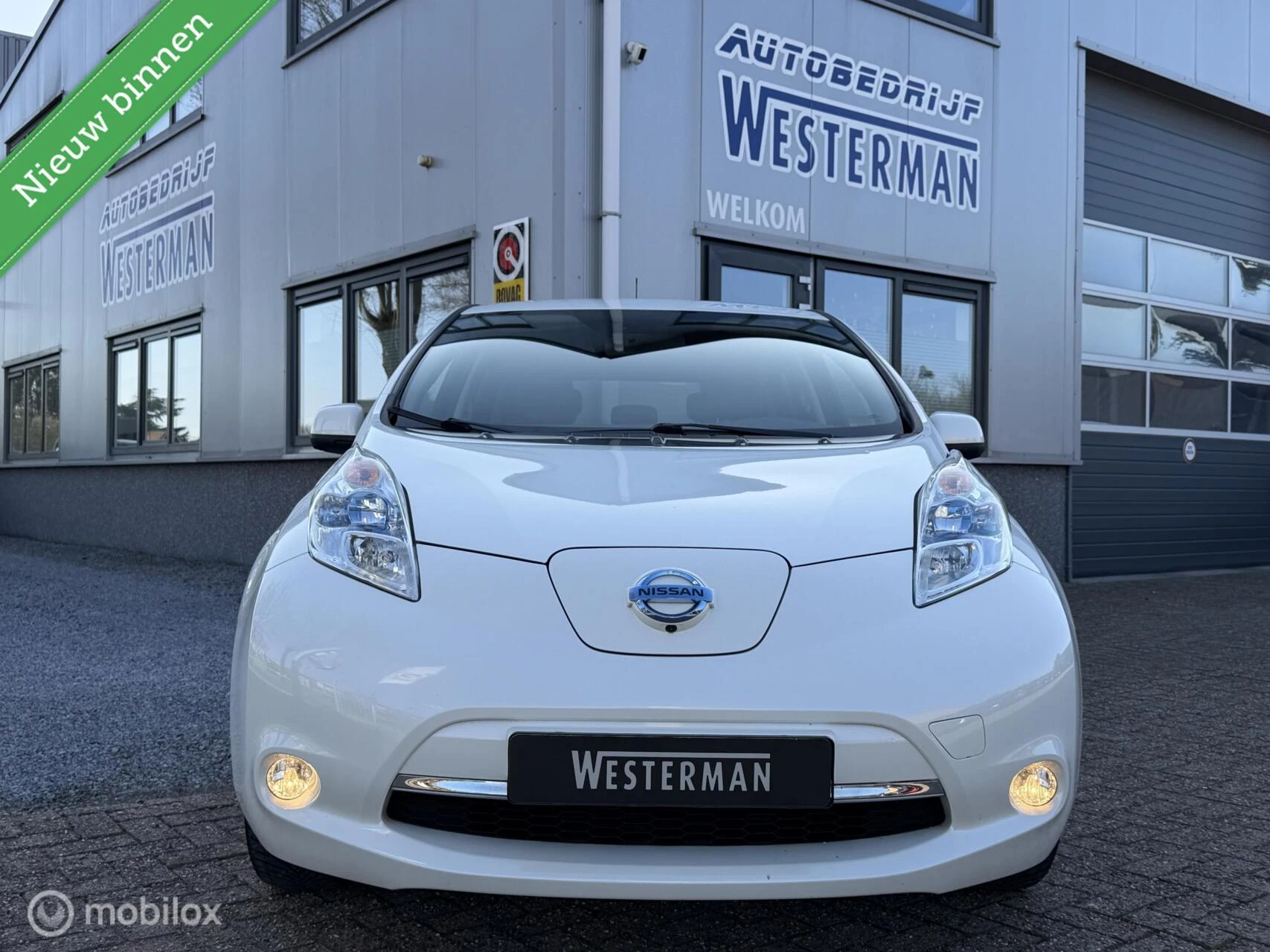 Hoofdafbeelding Nissan Leaf