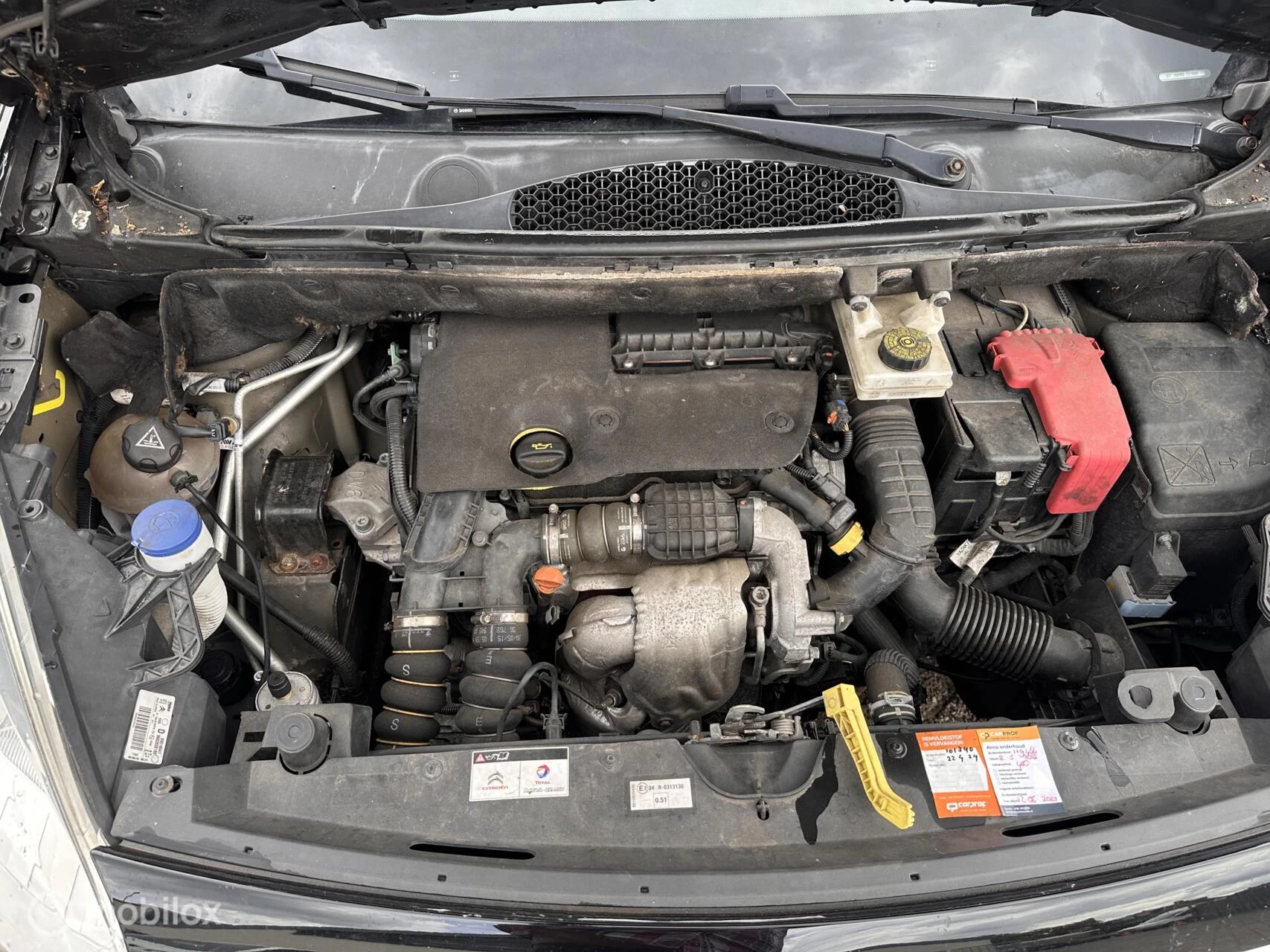 Hoofdafbeelding Citroën Berlingo