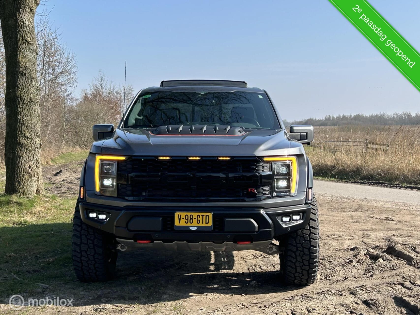 Hoofdafbeelding Ford F-150