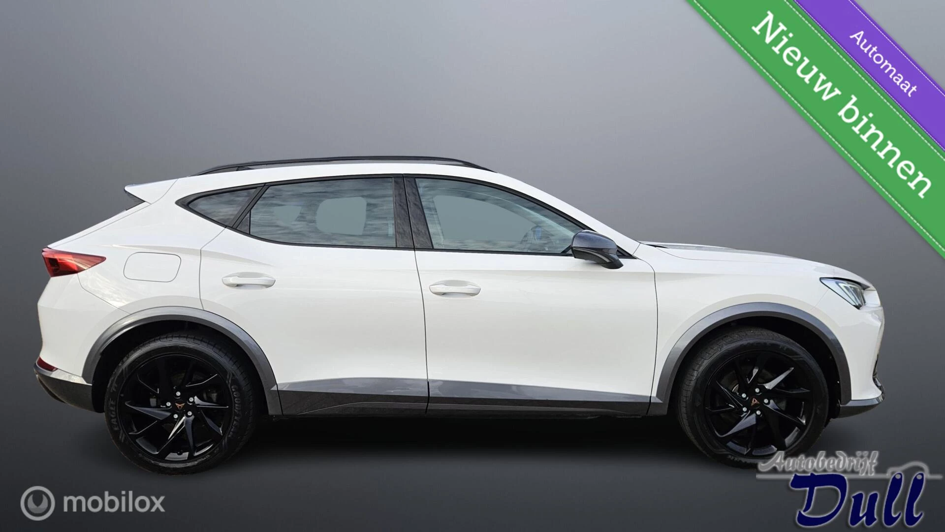 Hoofdafbeelding CUPRA Formentor