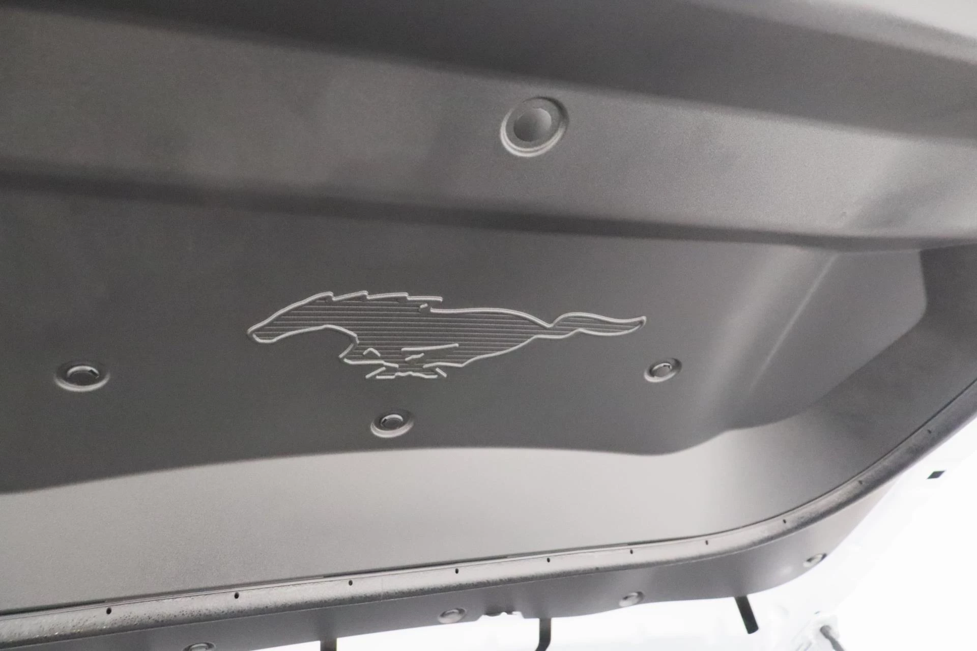 Hoofdafbeelding Ford Mustang Mach-E