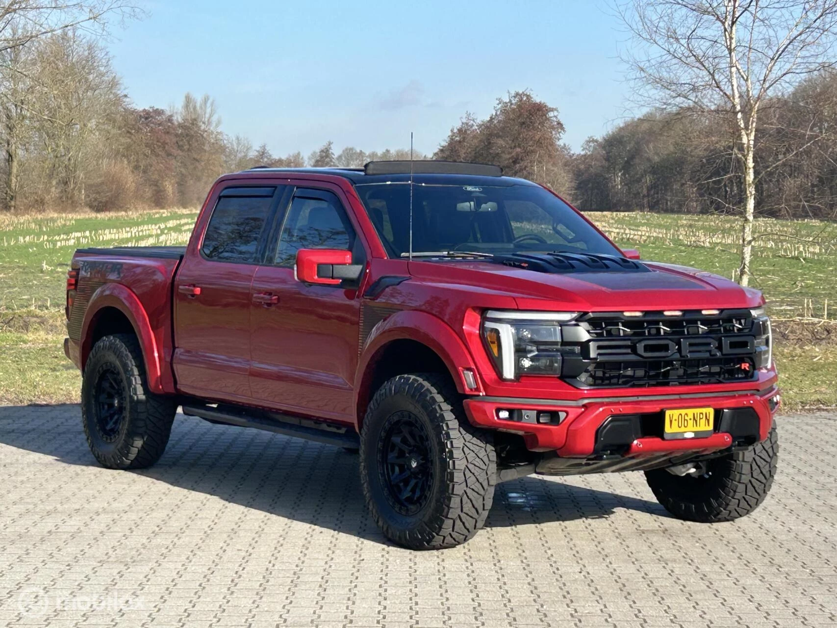 Hoofdafbeelding Ford F-150