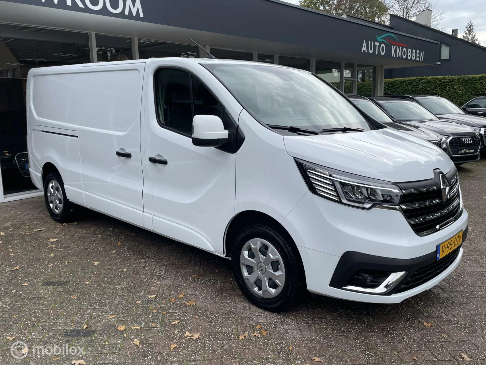 Hoofdafbeelding Renault Trafic