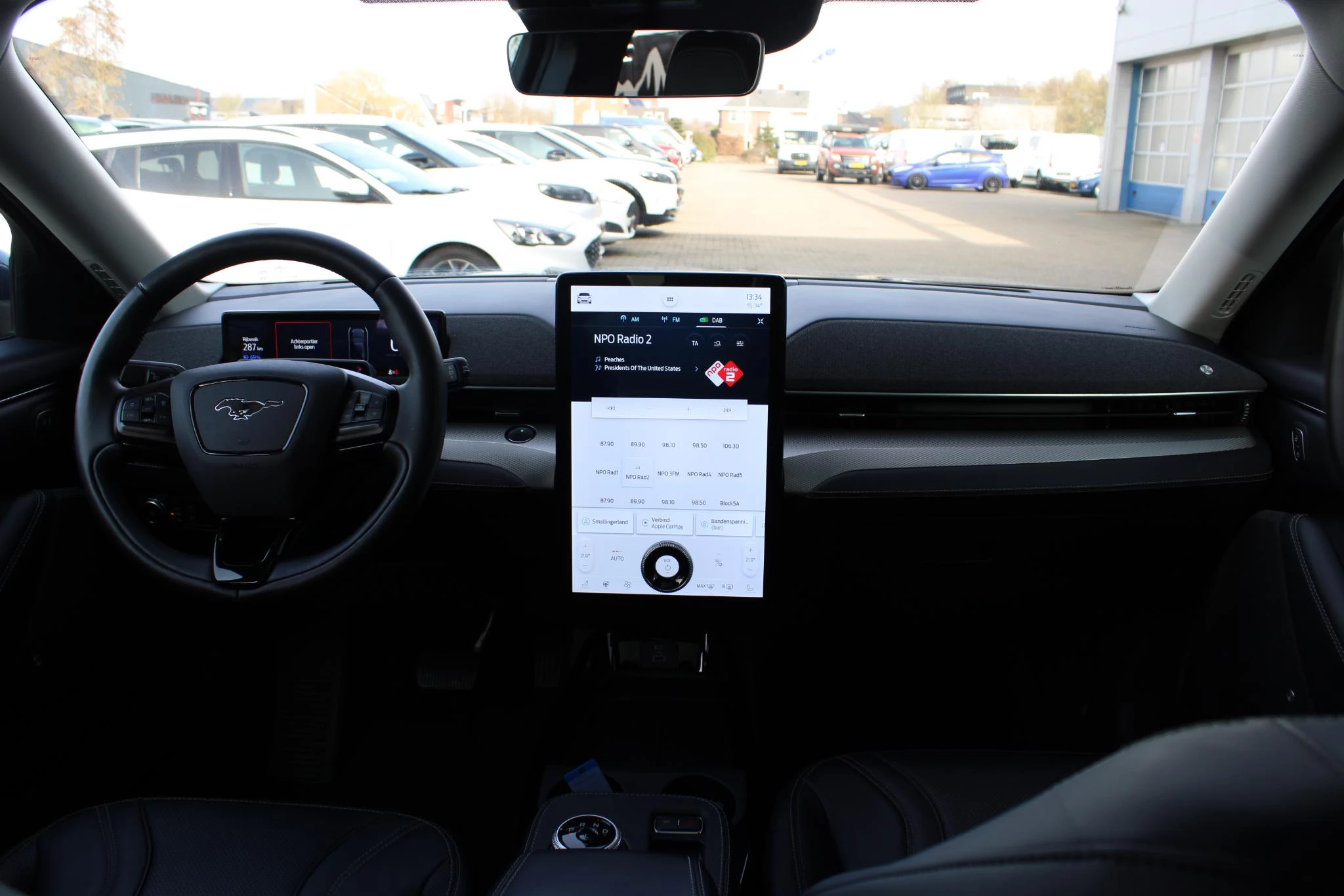 Hoofdafbeelding Ford Mustang Mach-E