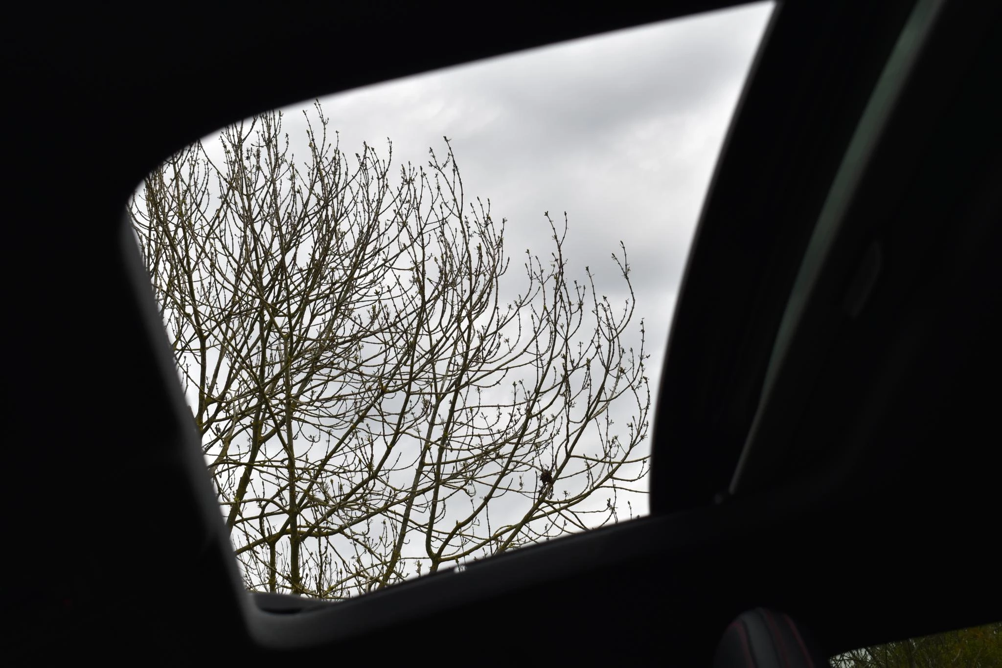 Hoofdafbeelding Audi RS3