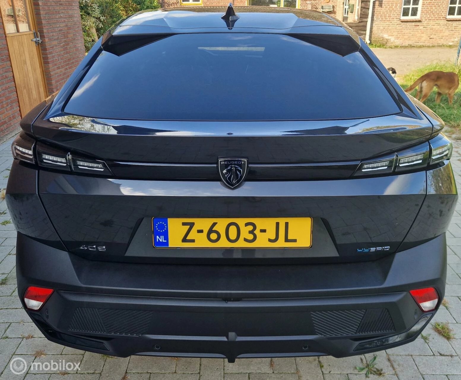 Hoofdafbeelding Peugeot 408