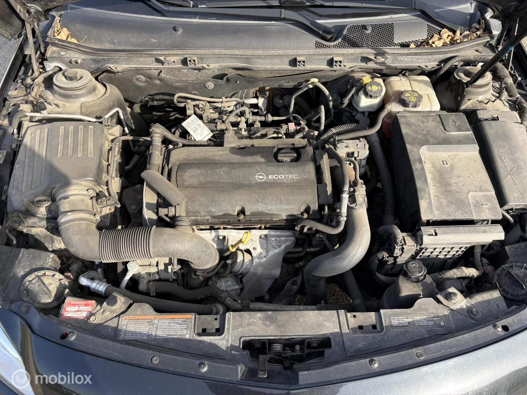 Hoofdafbeelding Opel Insignia