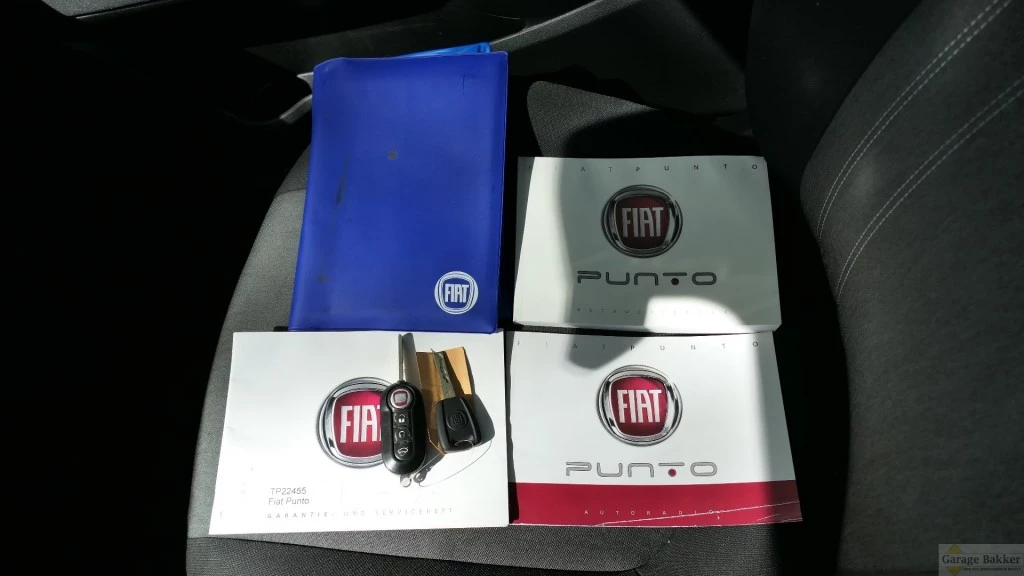 Hoofdafbeelding Fiat Punto
