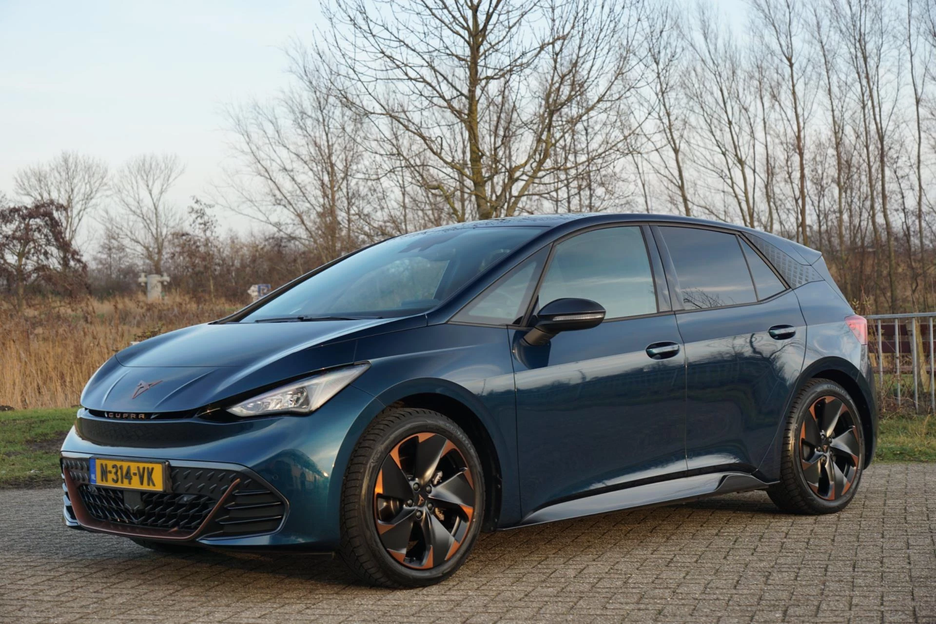 Hoofdafbeelding CUPRA Born