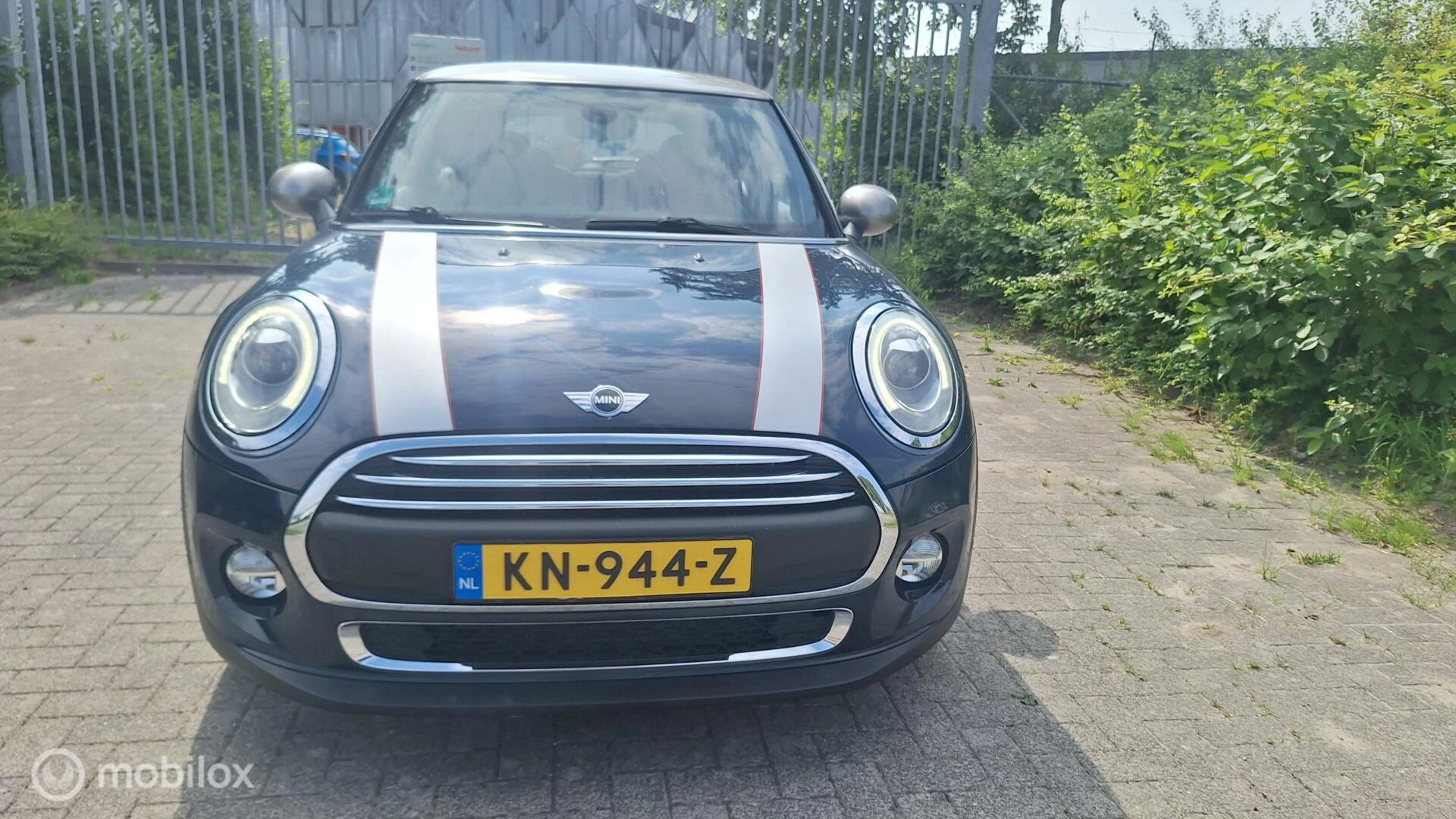 Hoofdafbeelding MINI Cooper