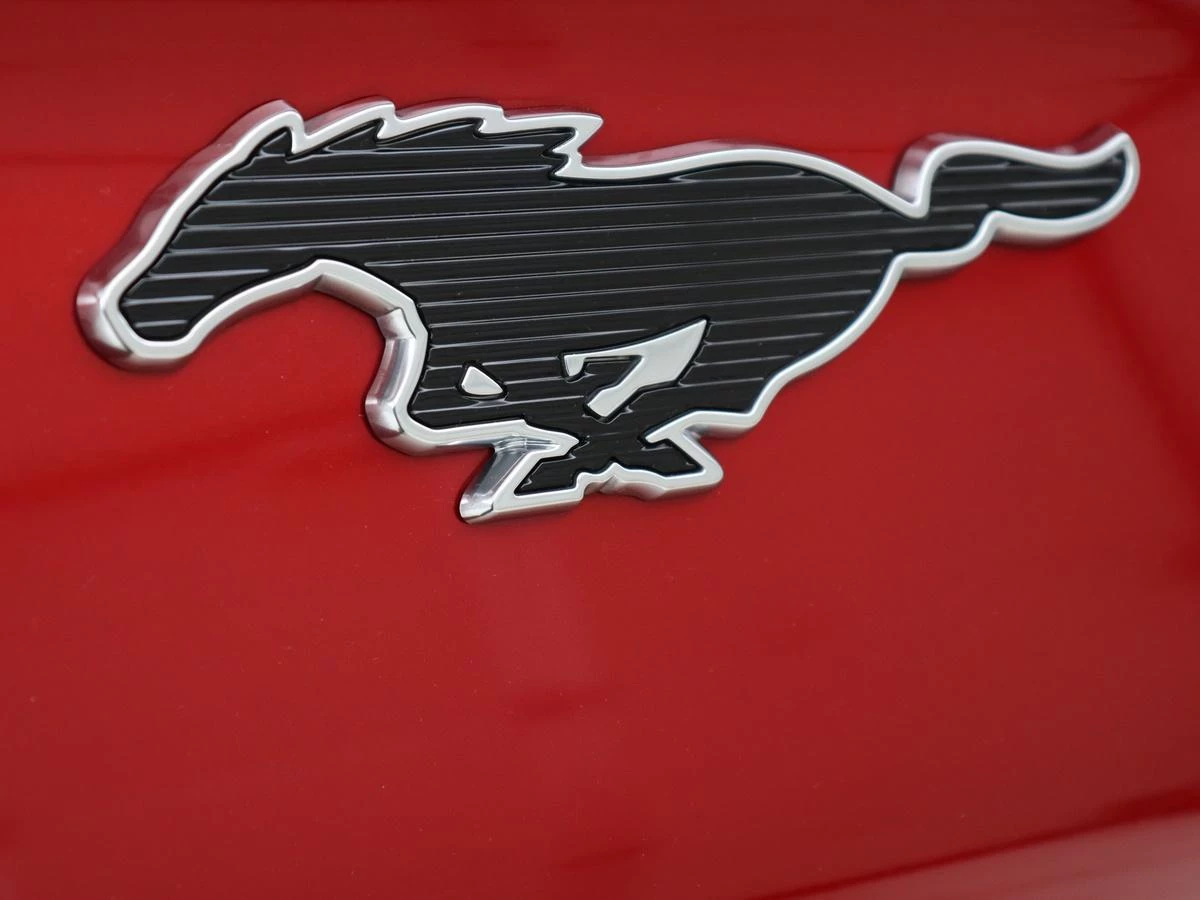 Hoofdafbeelding Ford Mustang Mach-E