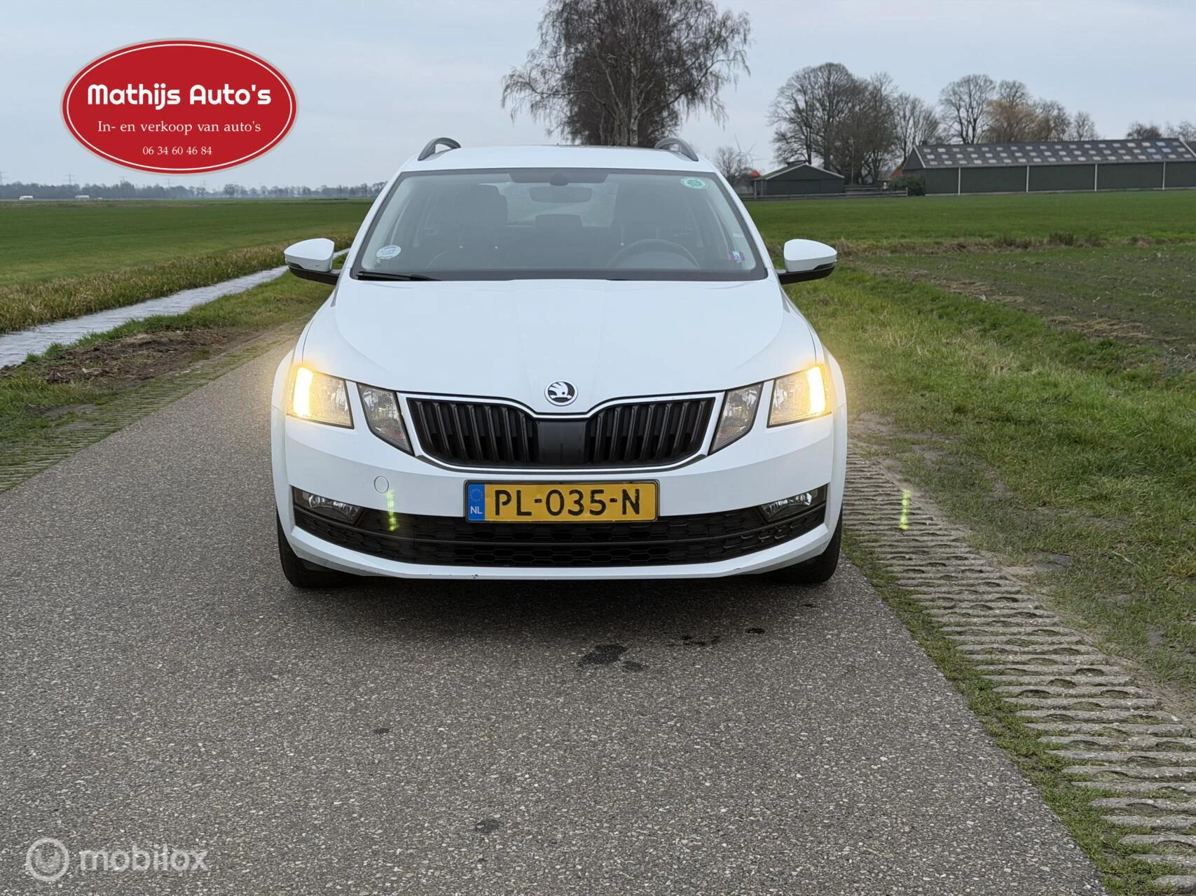 Hoofdafbeelding Škoda Octavia