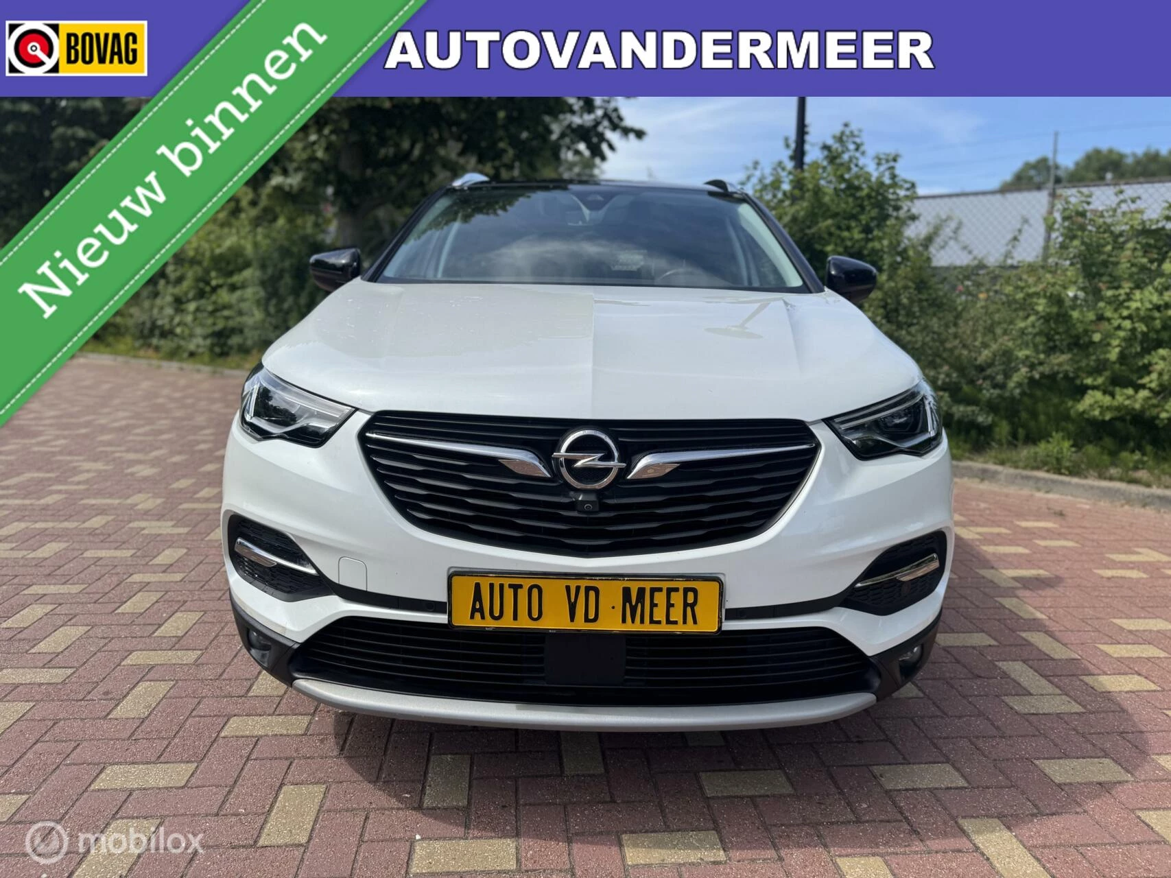 Hoofdafbeelding Opel Grandland X