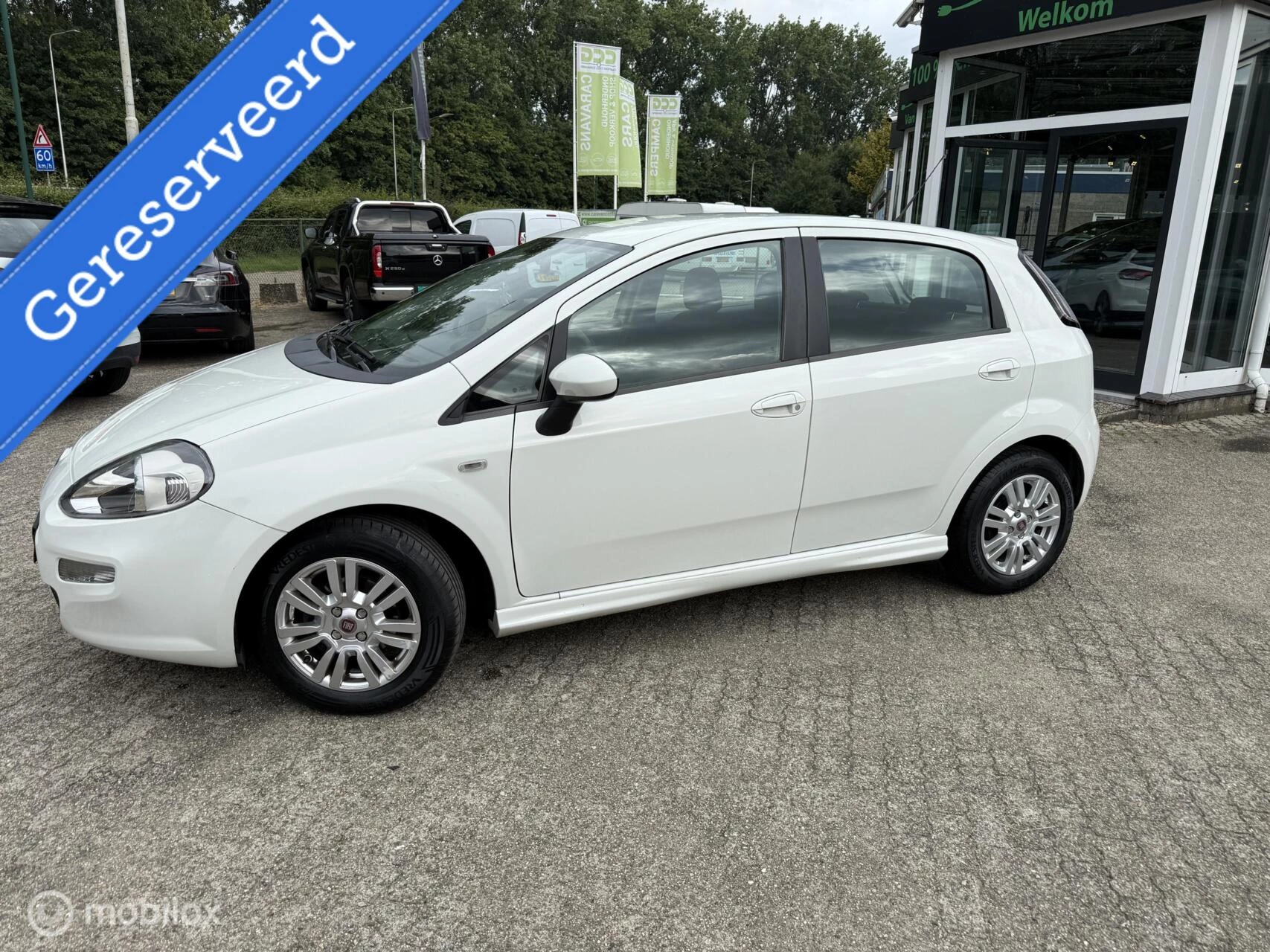 Hoofdafbeelding Fiat Punto