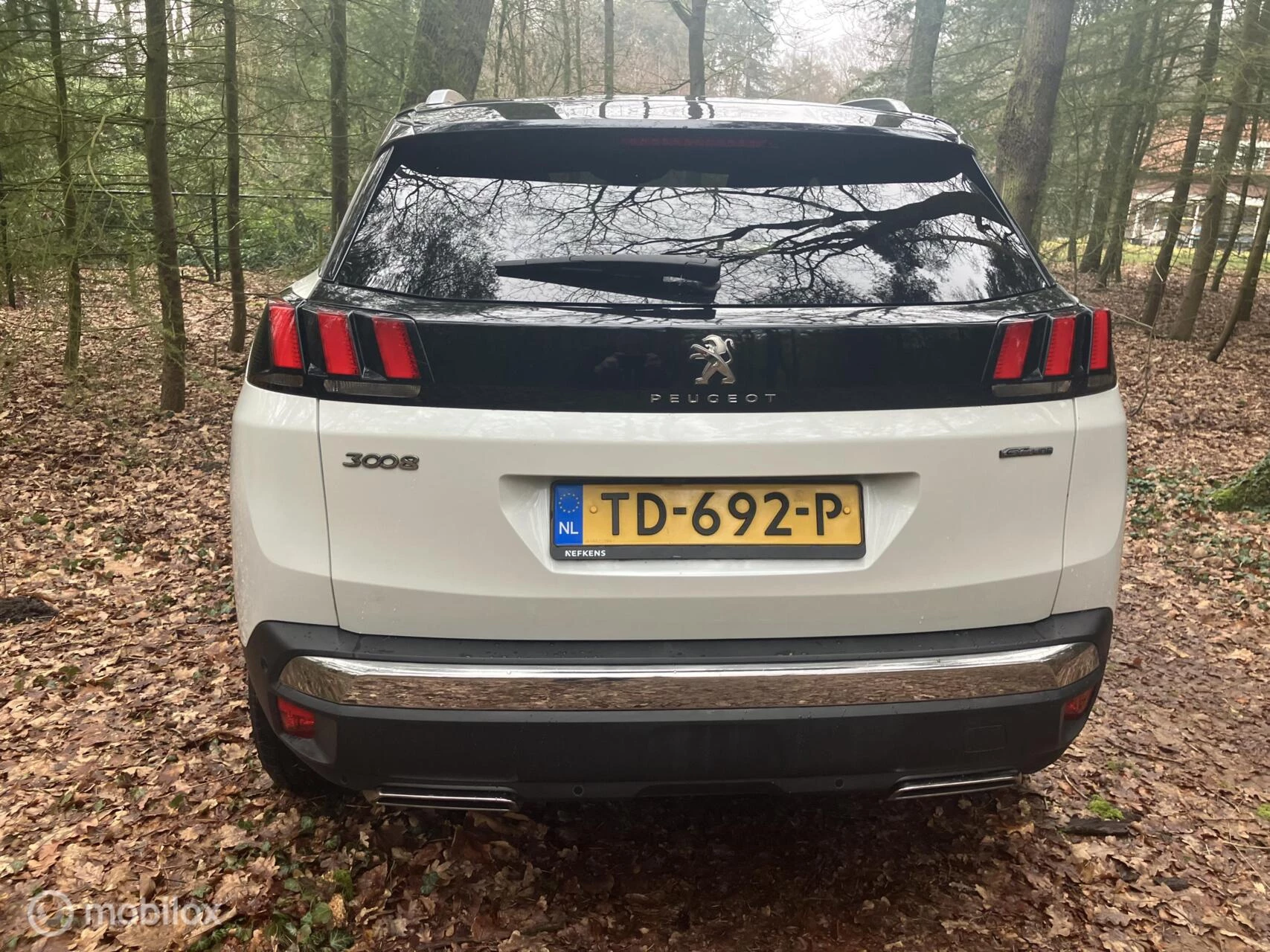 Hoofdafbeelding Peugeot 3008