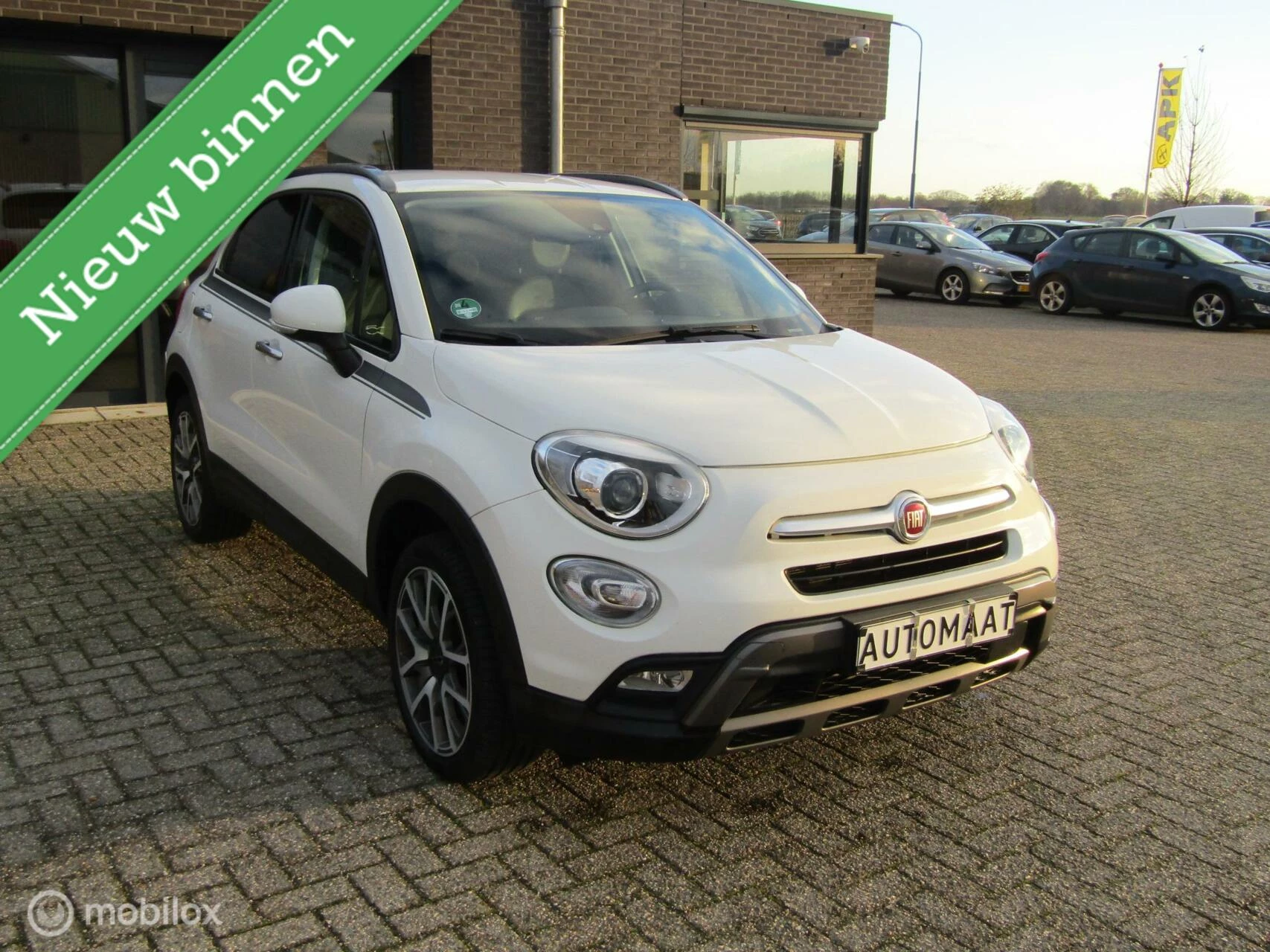 Hoofdafbeelding Fiat 500X