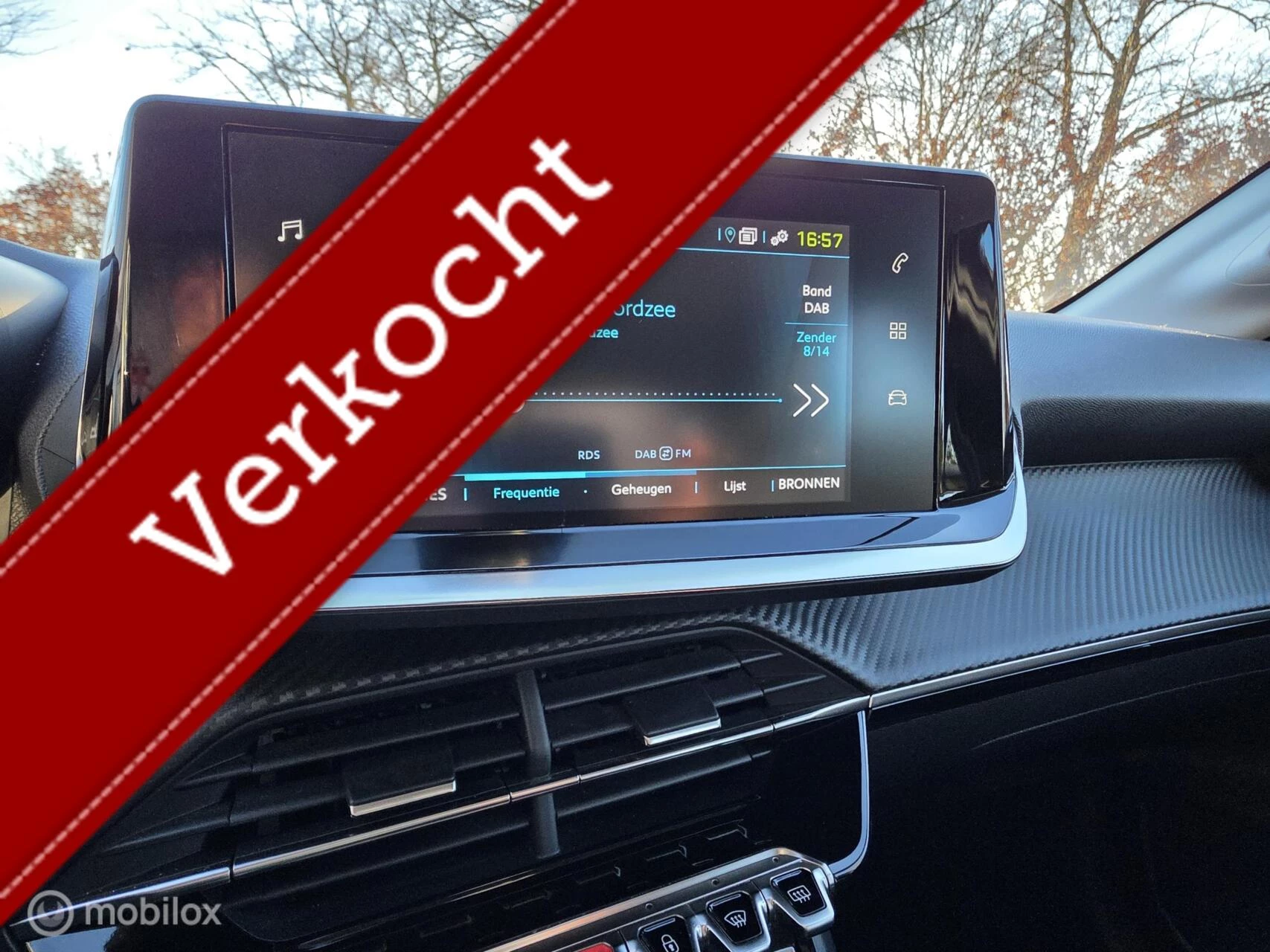 Hoofdafbeelding Peugeot e-208