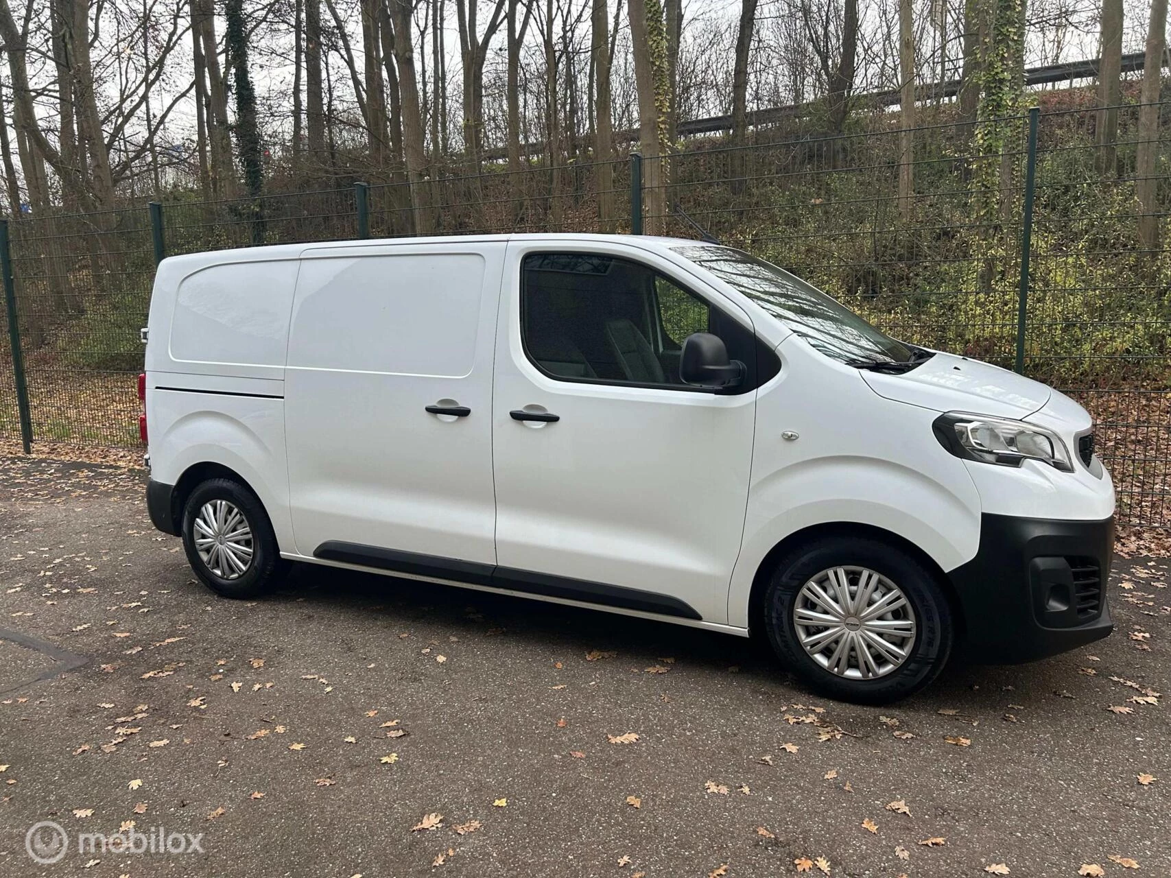 Hoofdafbeelding Peugeot Expert