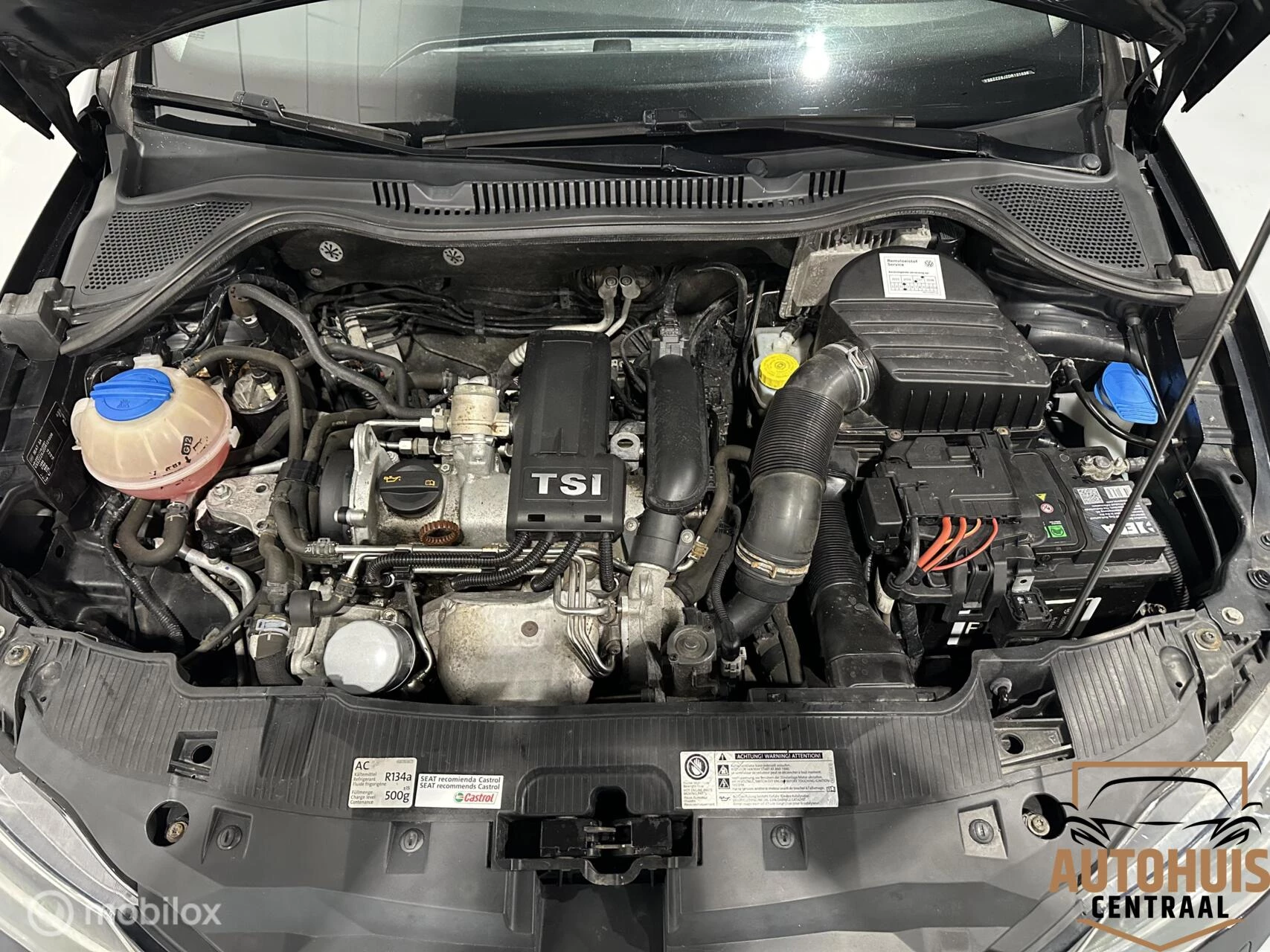 Hoofdafbeelding SEAT Ibiza