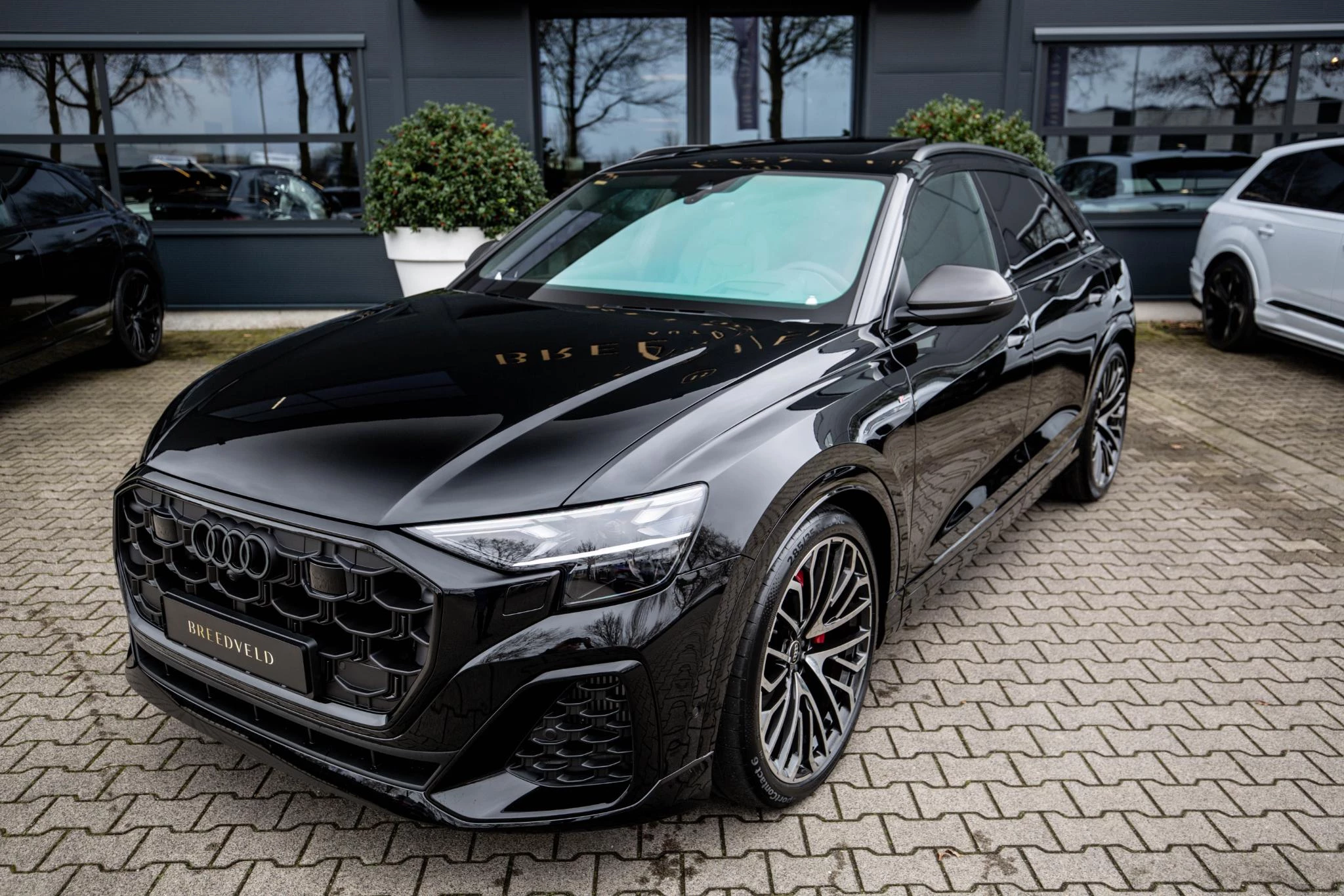 Hoofdafbeelding Audi Q8