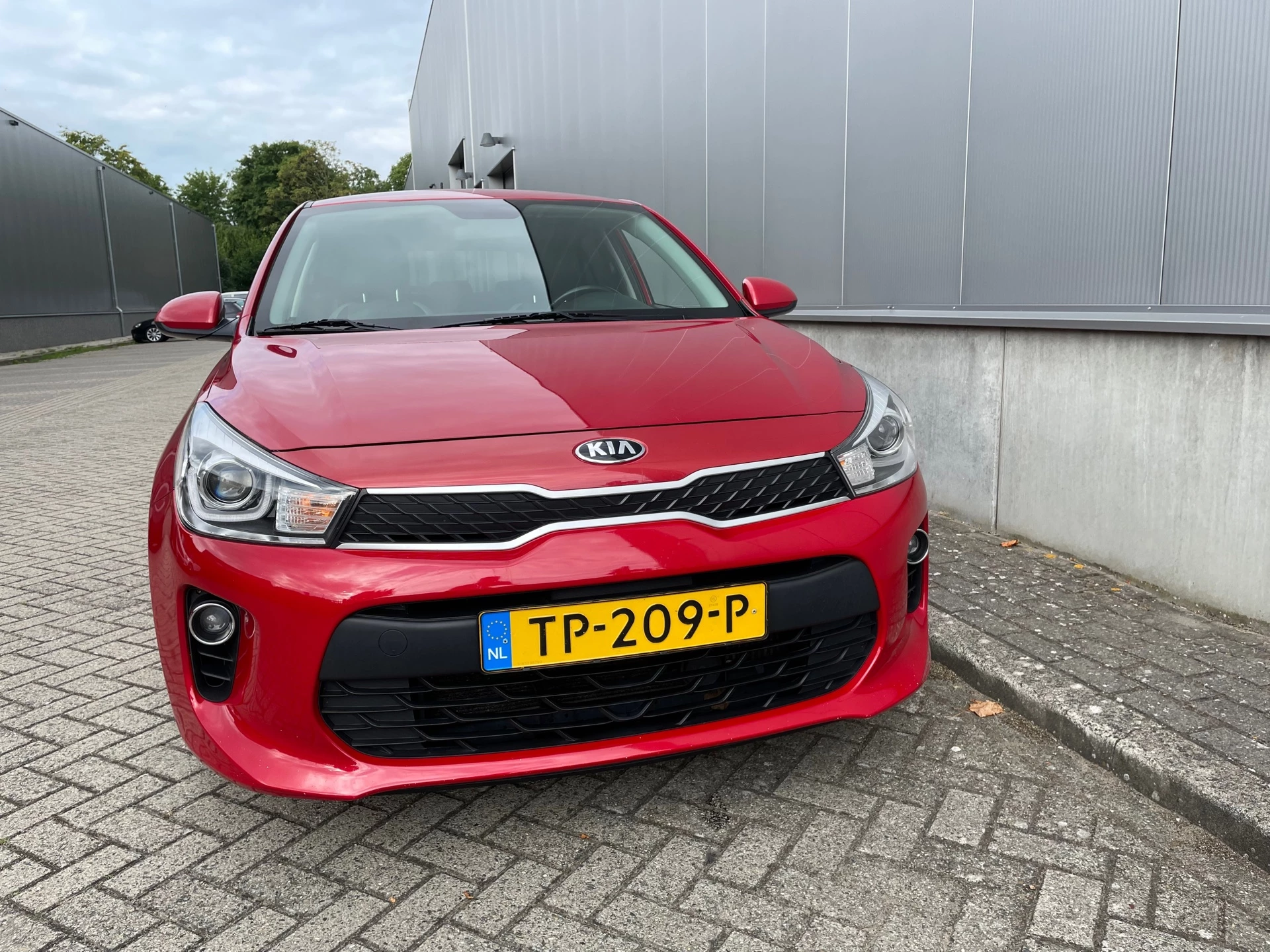 Hoofdafbeelding Kia Rio