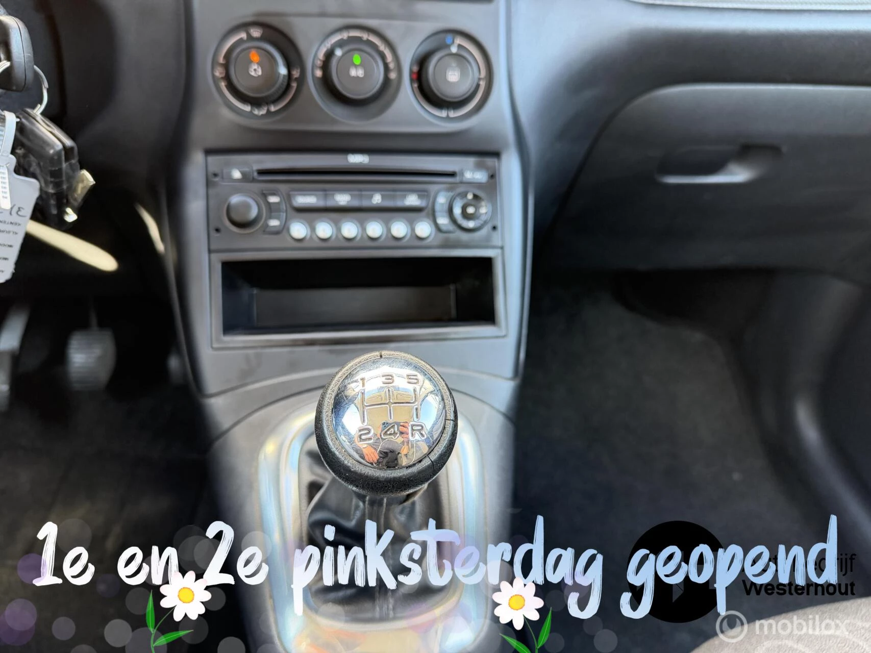 Hoofdafbeelding Citroën C3 Picasso