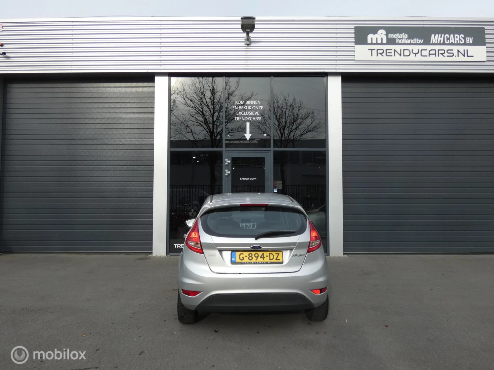 Hoofdafbeelding Ford Fiesta