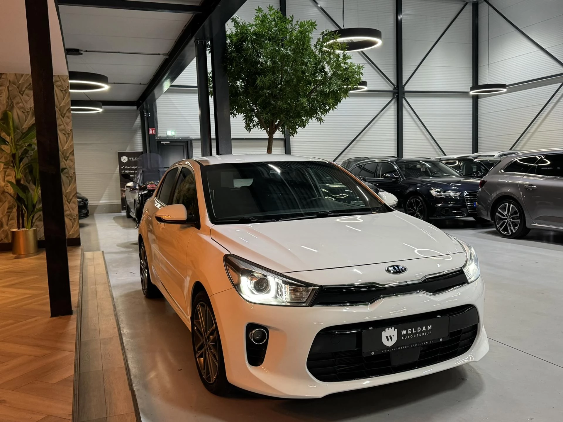 Hoofdafbeelding Kia Rio