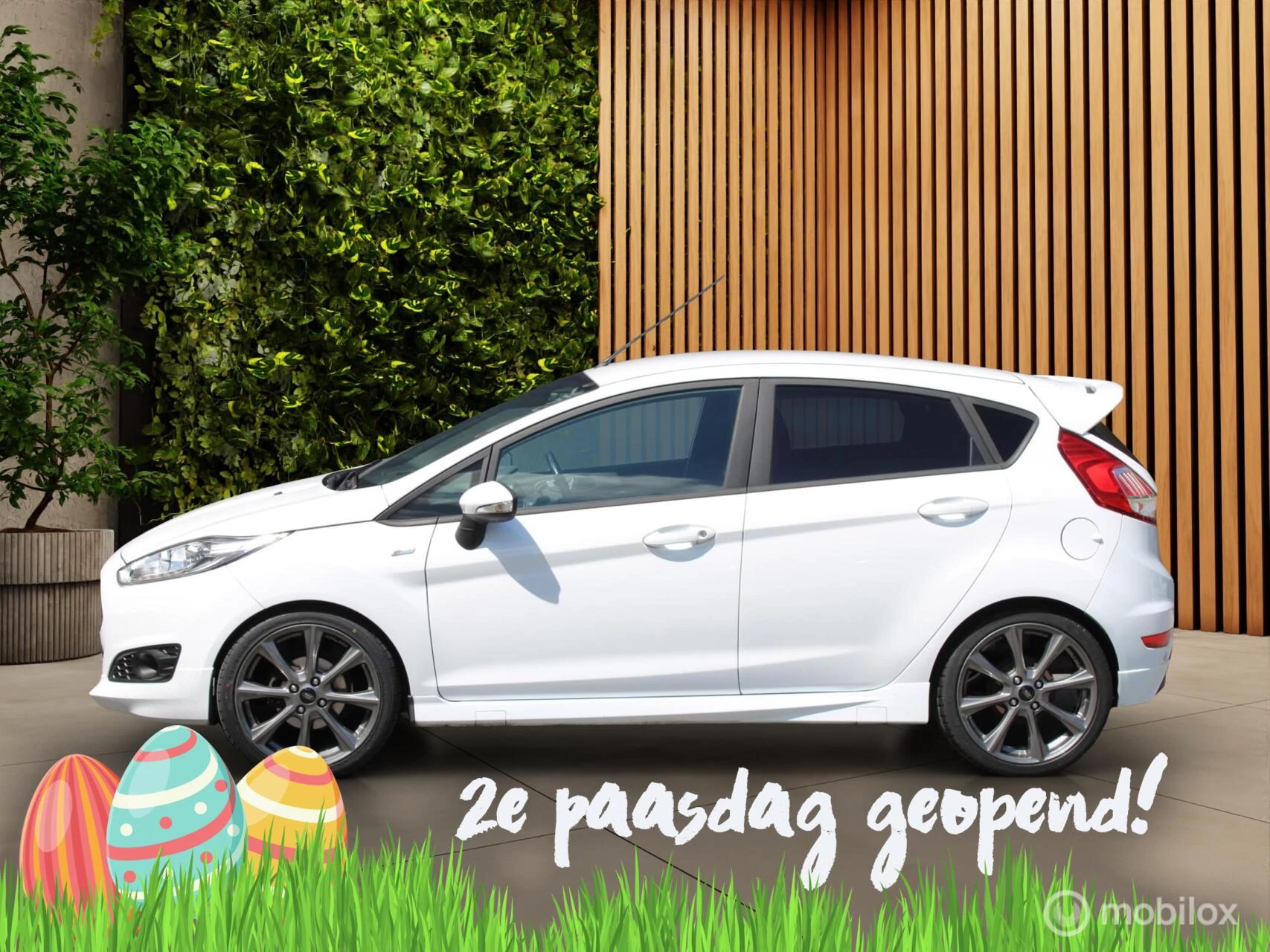 Hoofdafbeelding Ford Fiesta