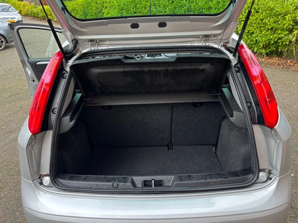 Hoofdafbeelding Fiat Punto