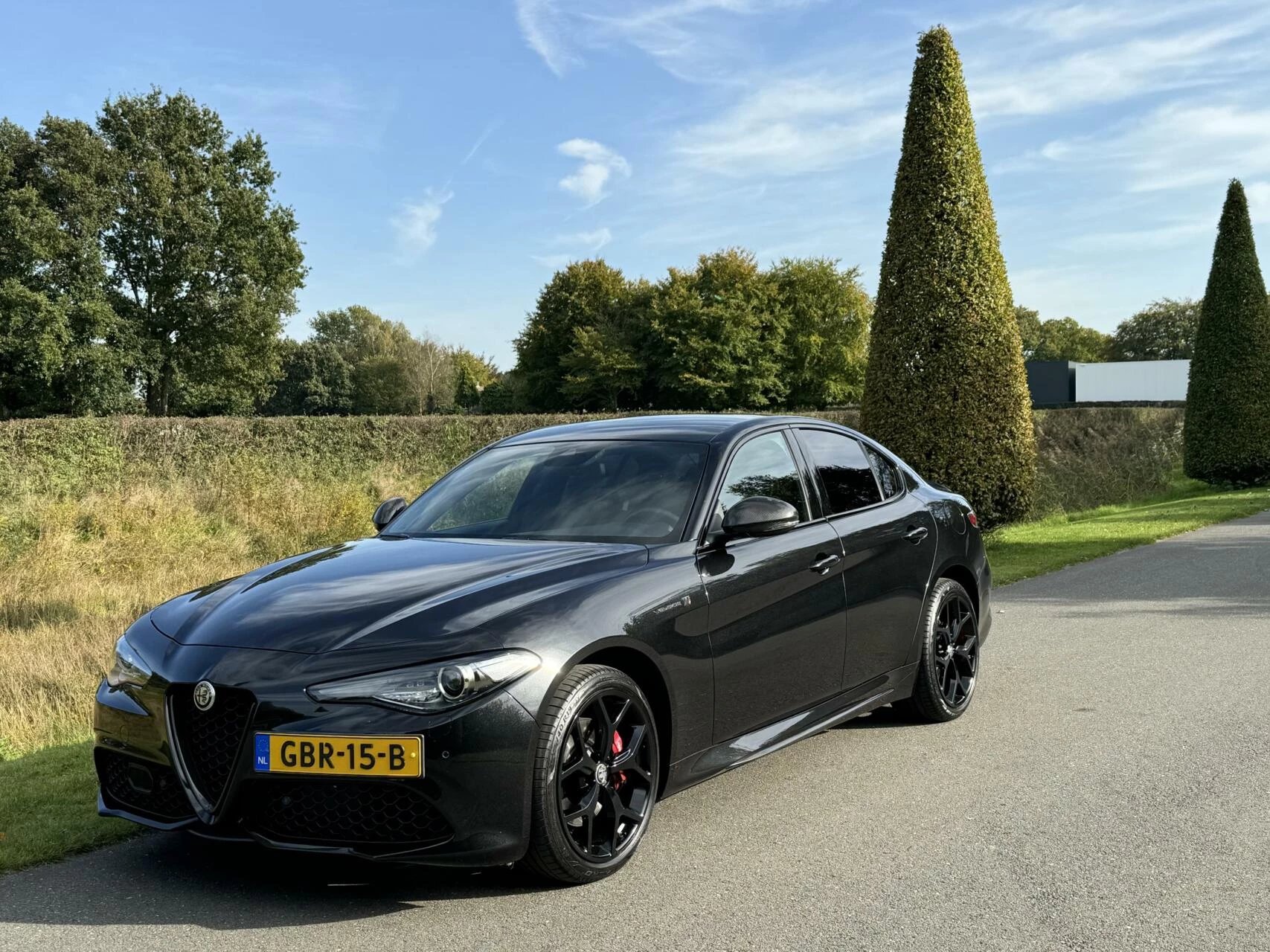 Hoofdafbeelding Alfa Romeo Giulia