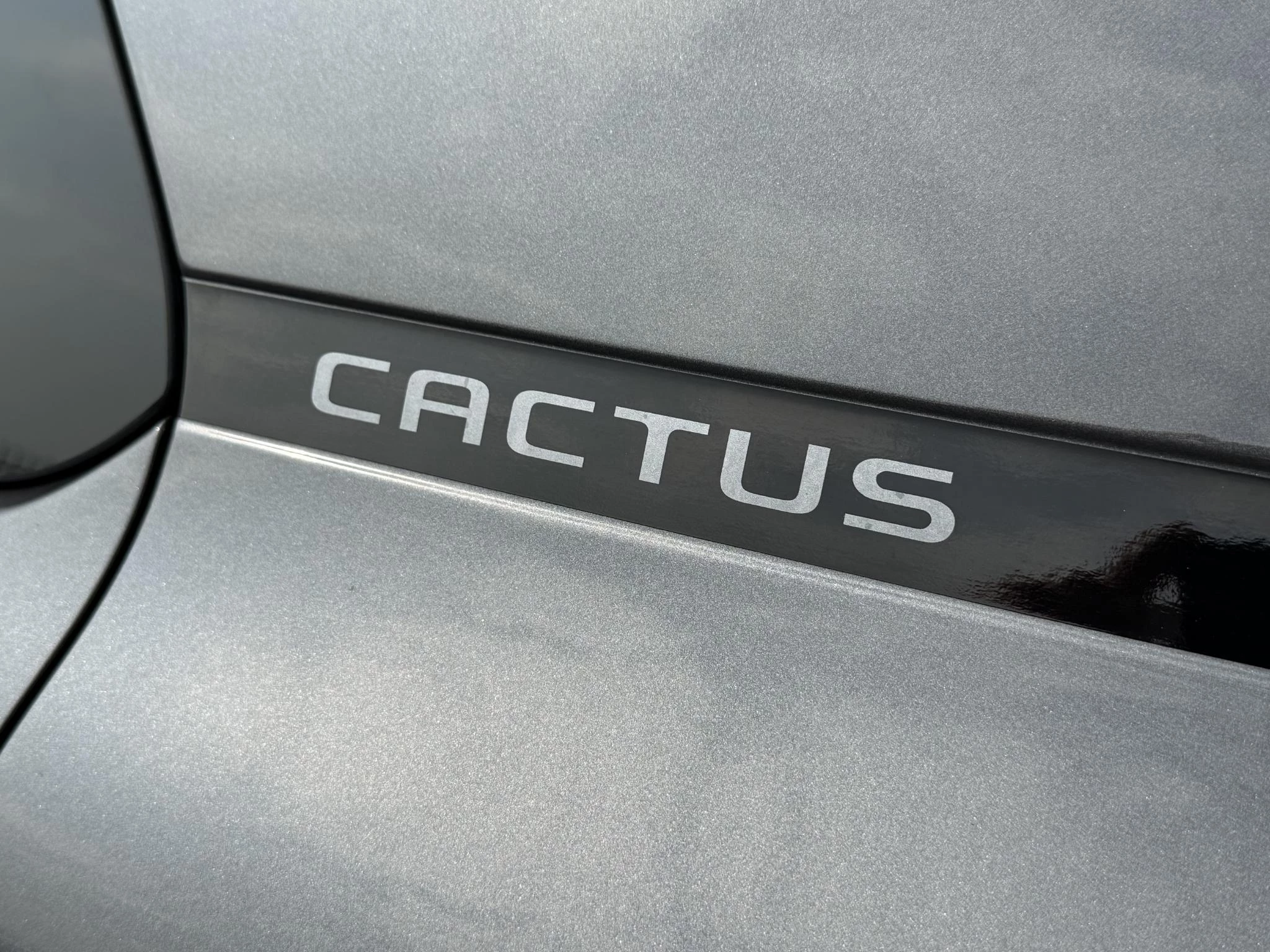 Hoofdafbeelding Citroën C4 Cactus