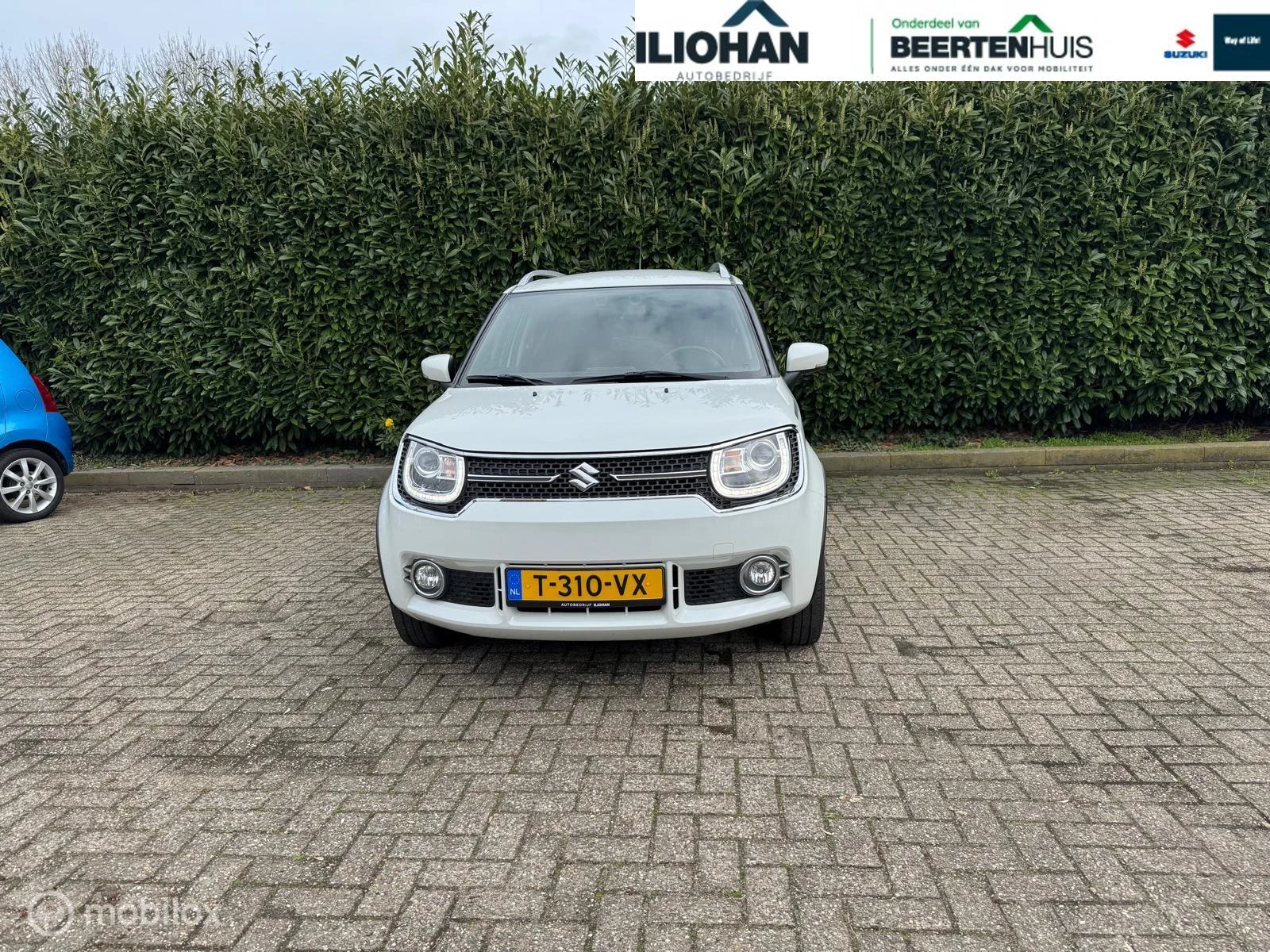 Hoofdafbeelding Suzuki Ignis