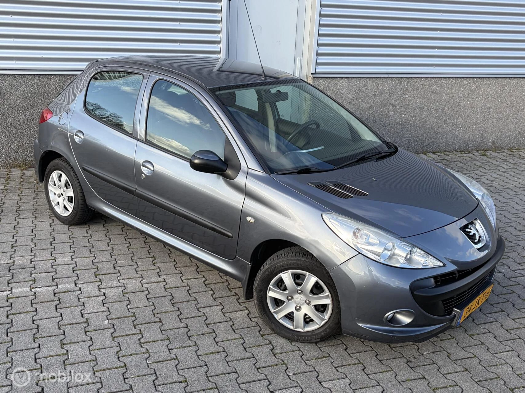 Hoofdafbeelding Peugeot 206