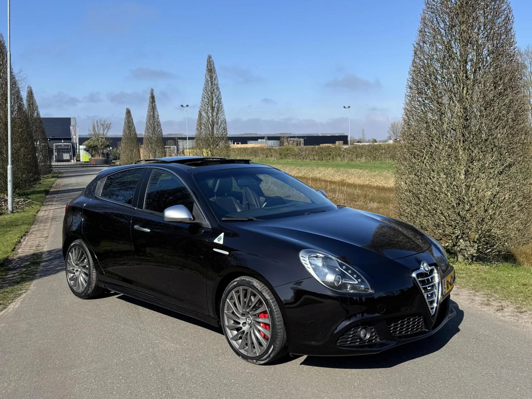 Hoofdafbeelding Alfa Romeo Giulietta