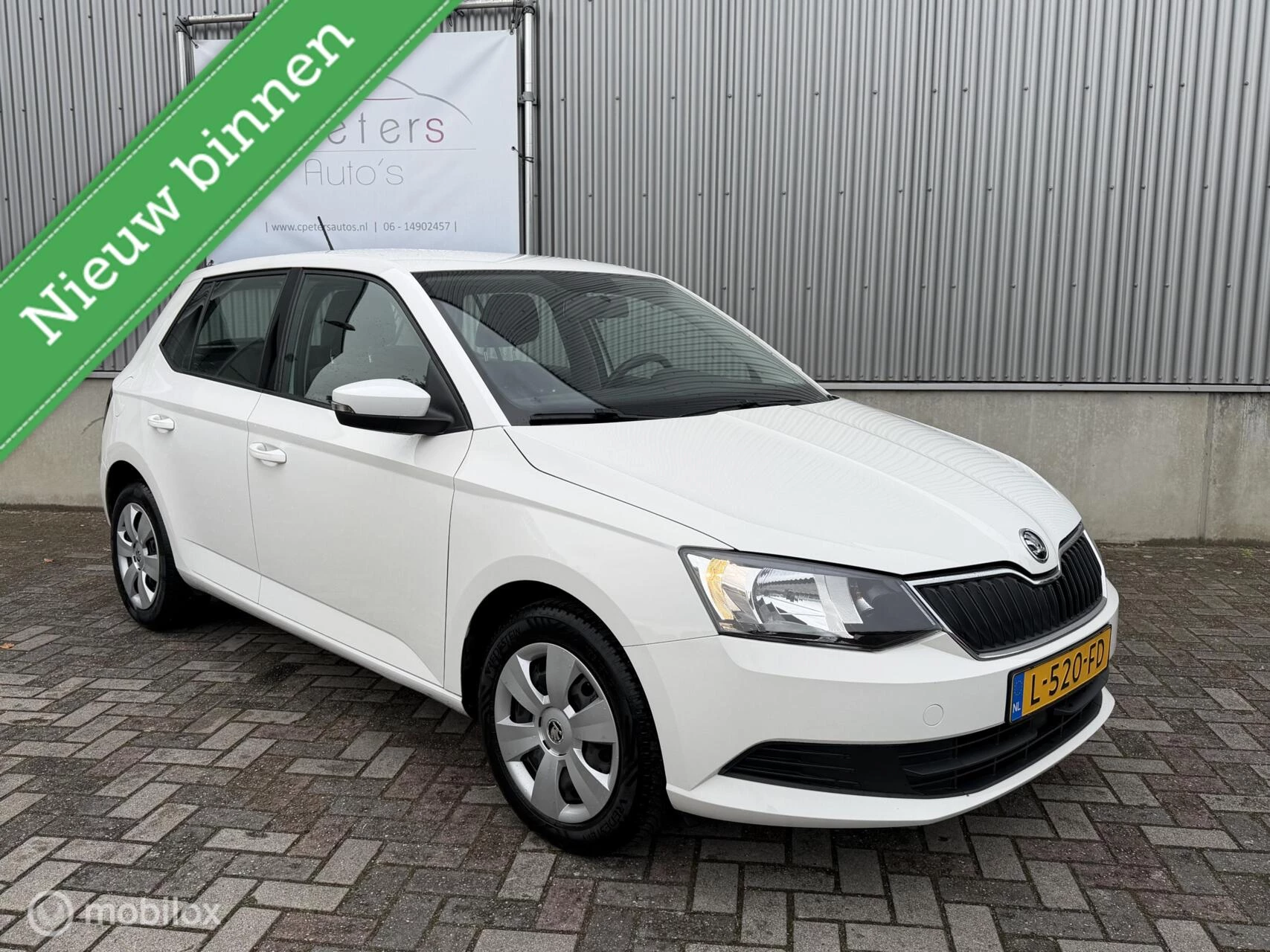 Hoofdafbeelding Škoda Fabia