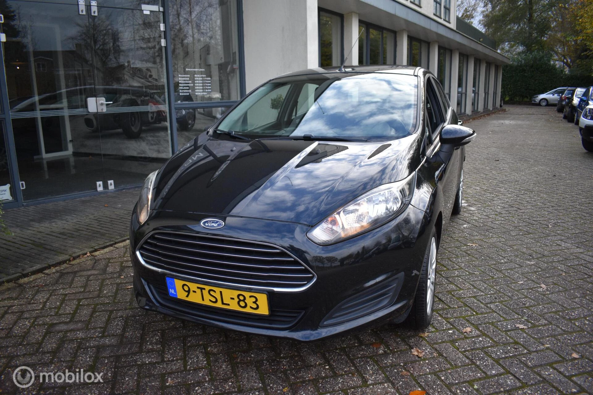 Hoofdafbeelding Ford Fiesta