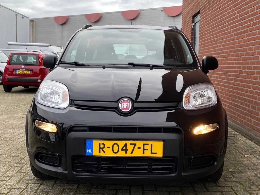 Hoofdafbeelding Fiat Panda