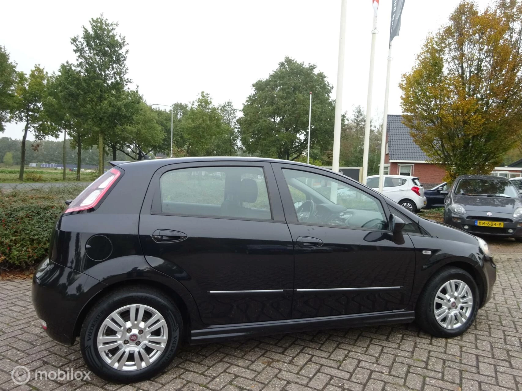 Hoofdafbeelding Fiat Punto