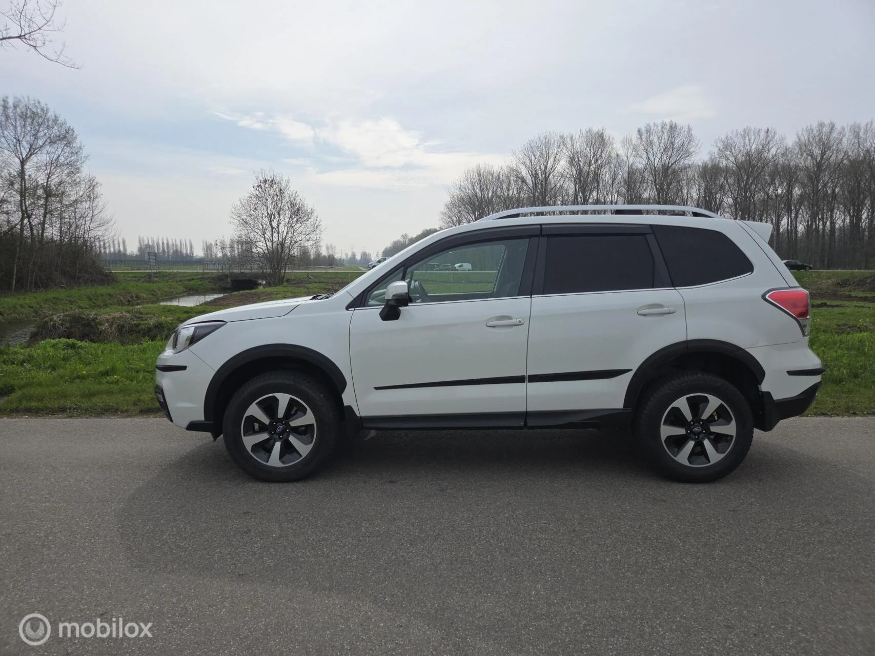 Hoofdafbeelding Subaru Forester