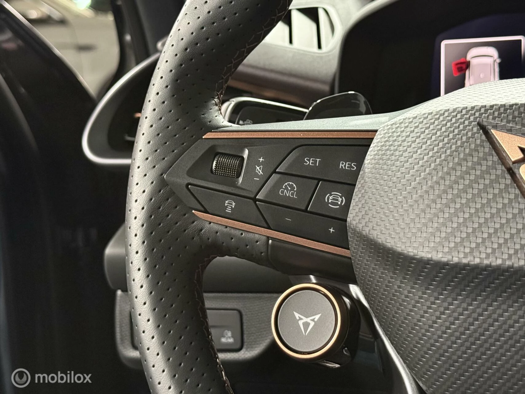 Hoofdafbeelding CUPRA Terramar