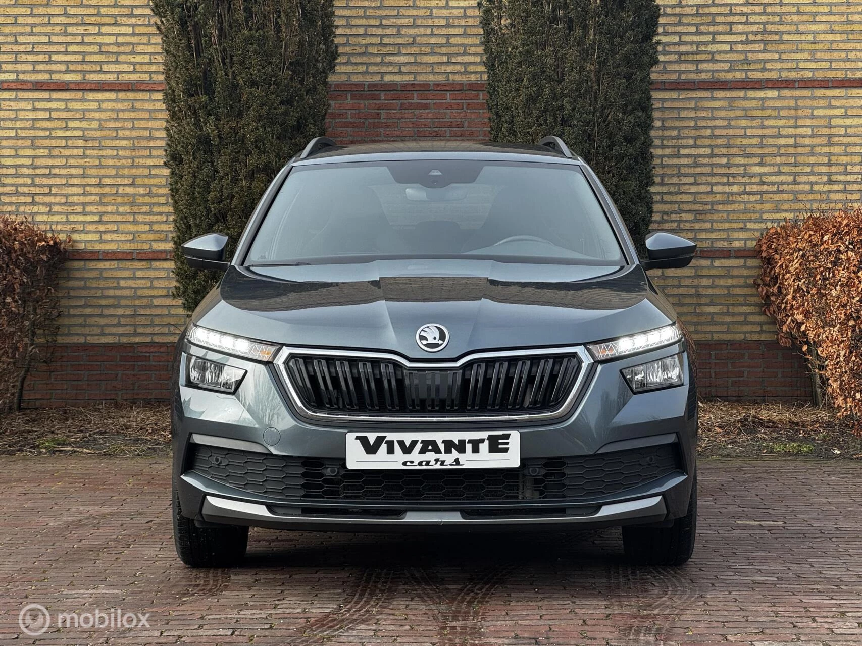 Hoofdafbeelding Škoda Kamiq