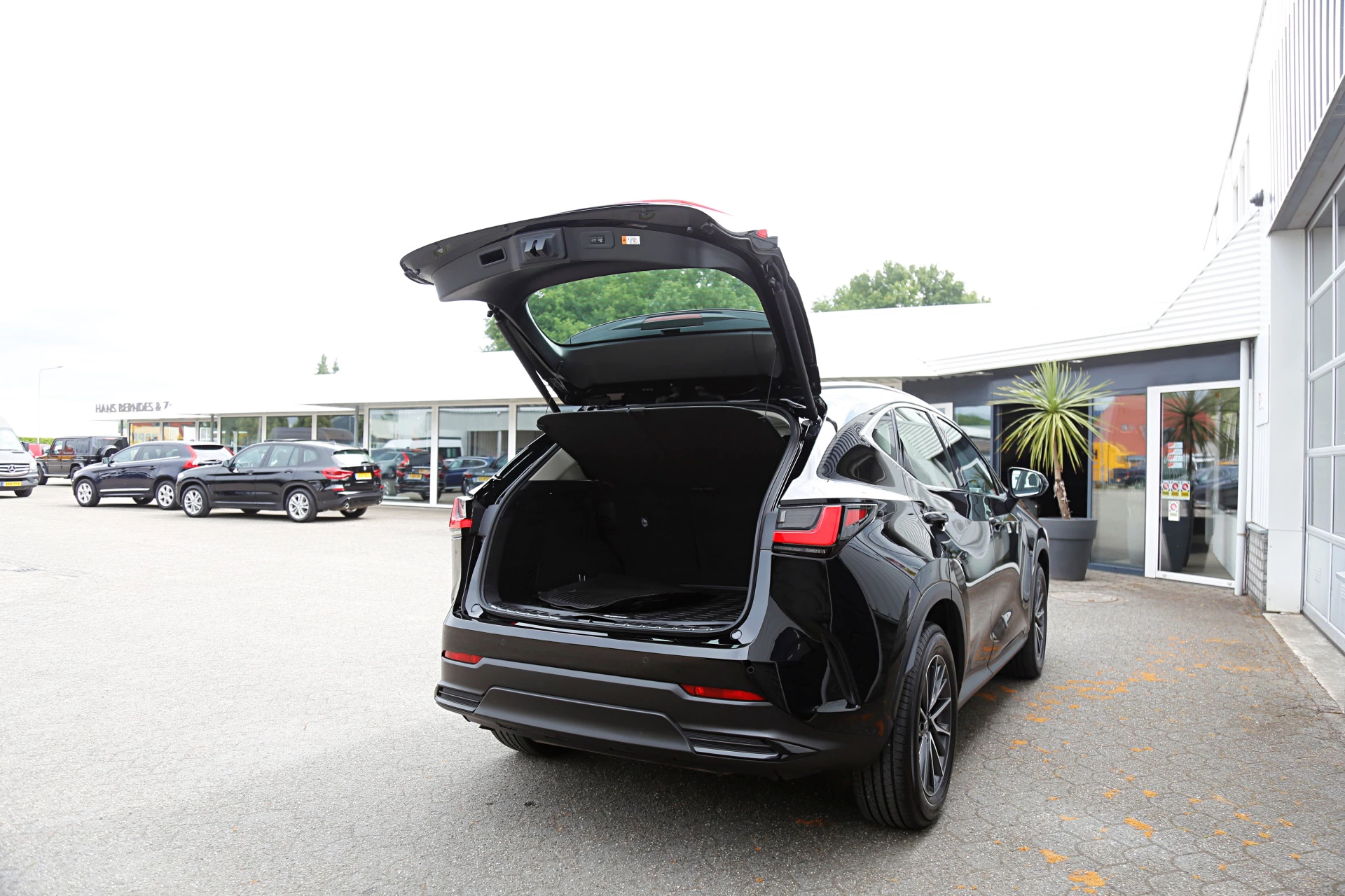 Hoofdafbeelding Lexus NX