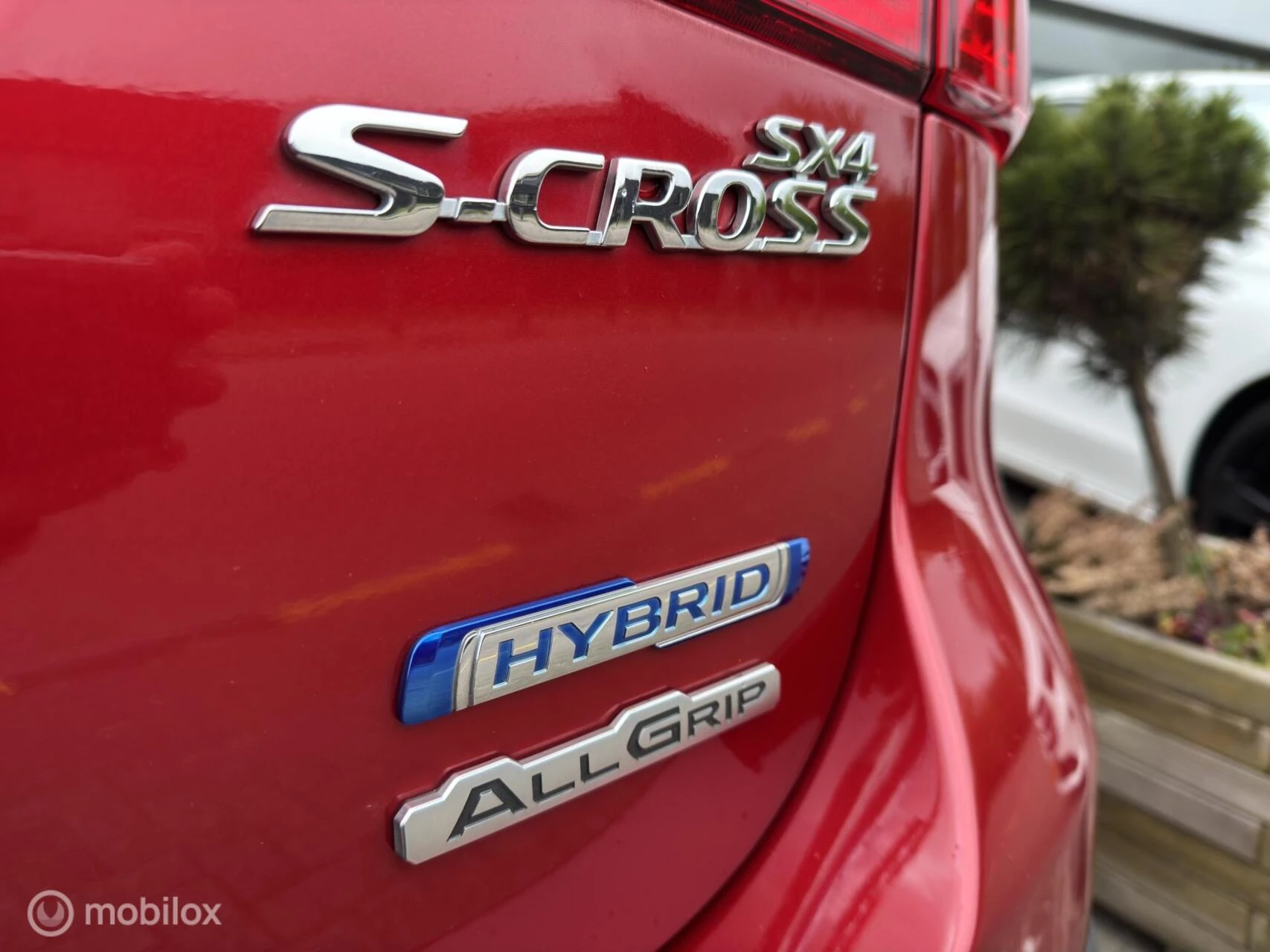 Hoofdafbeelding Suzuki S-Cross